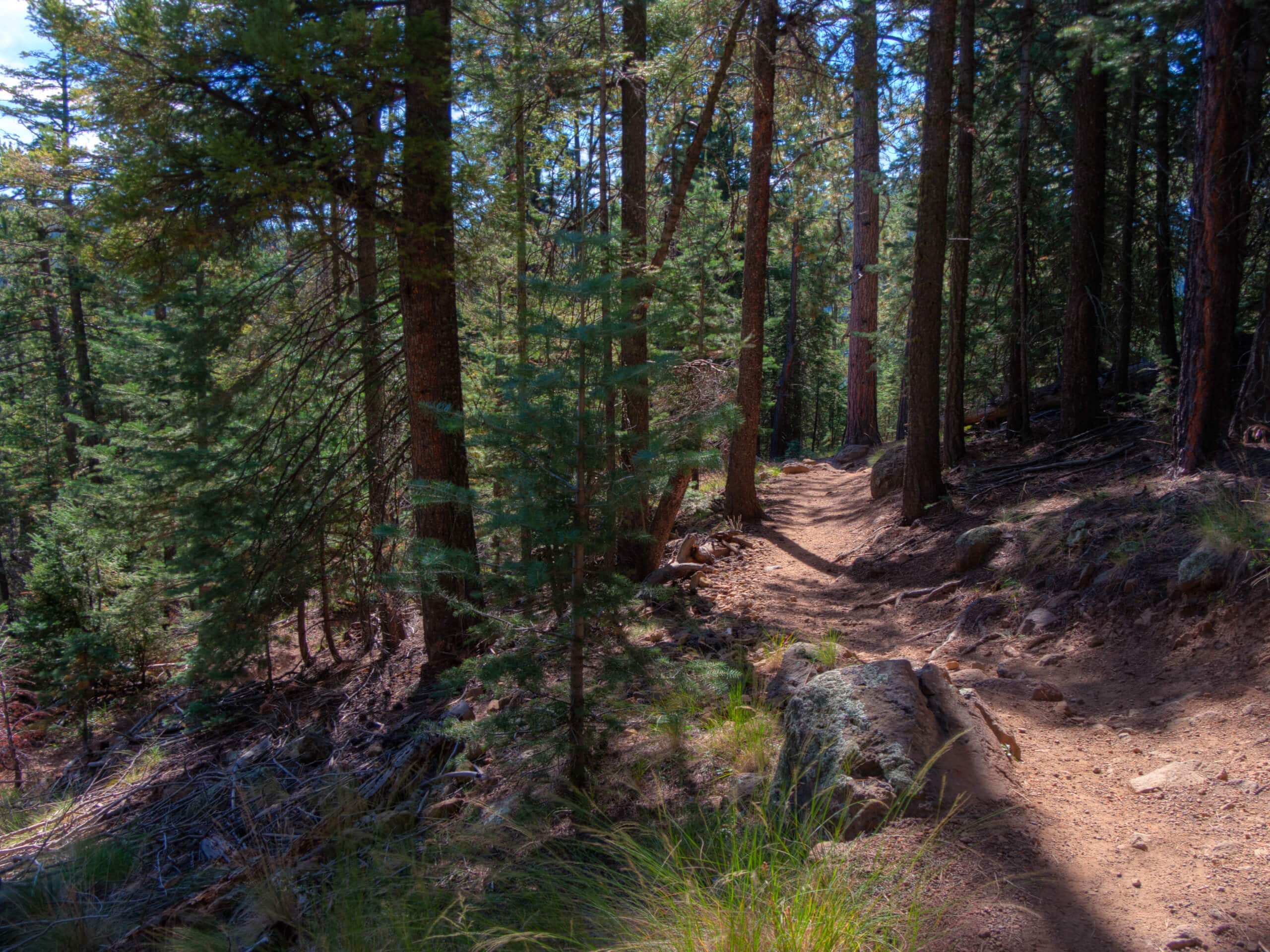 Schultz Creek Downhill Trail