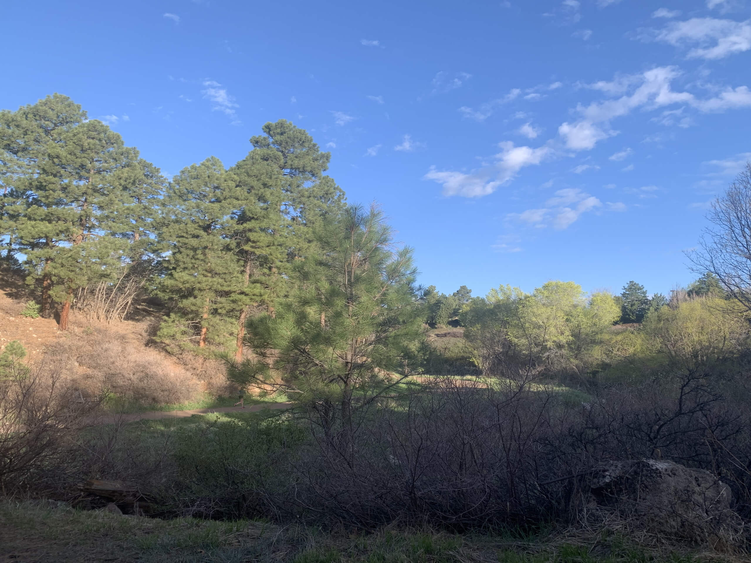 Sinclair Wash Trail