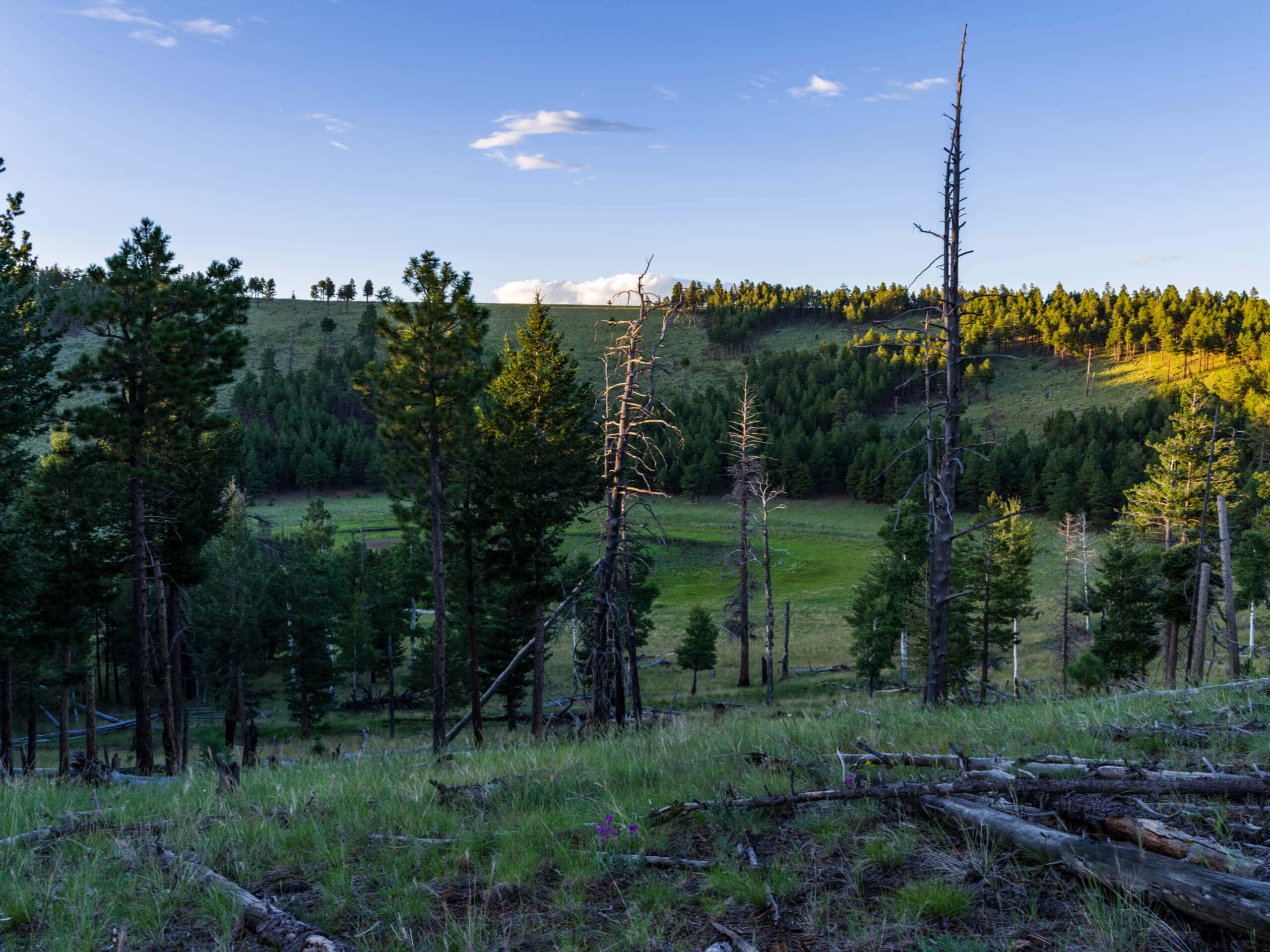 Walker Lake Trail