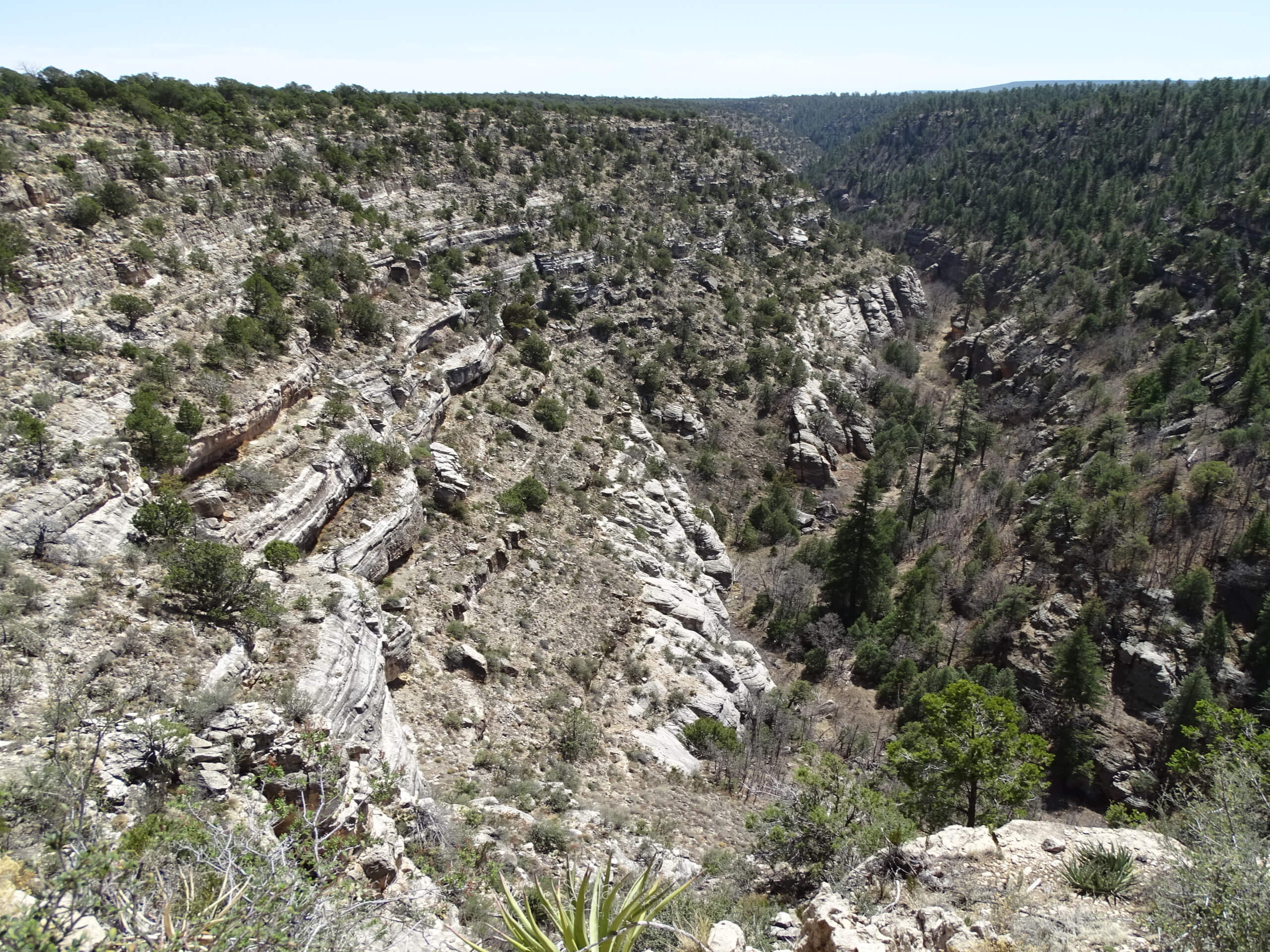 Walnut Canyon Island Trail