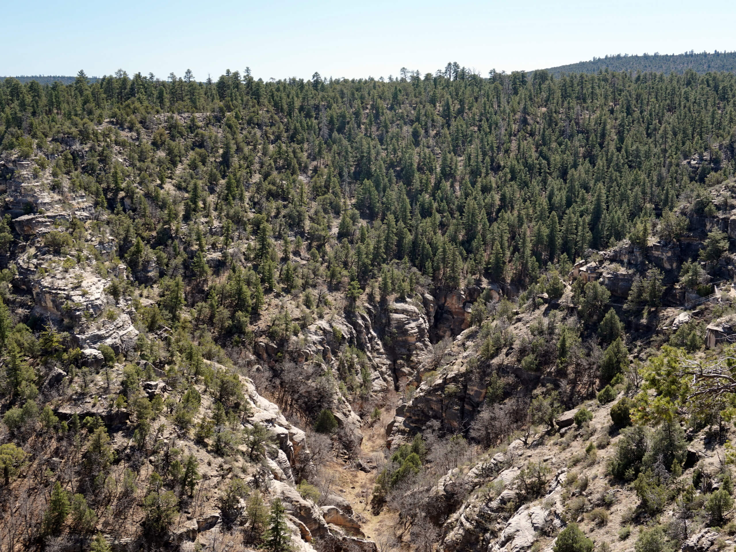 Walnut Canyon Viewpoint Trail