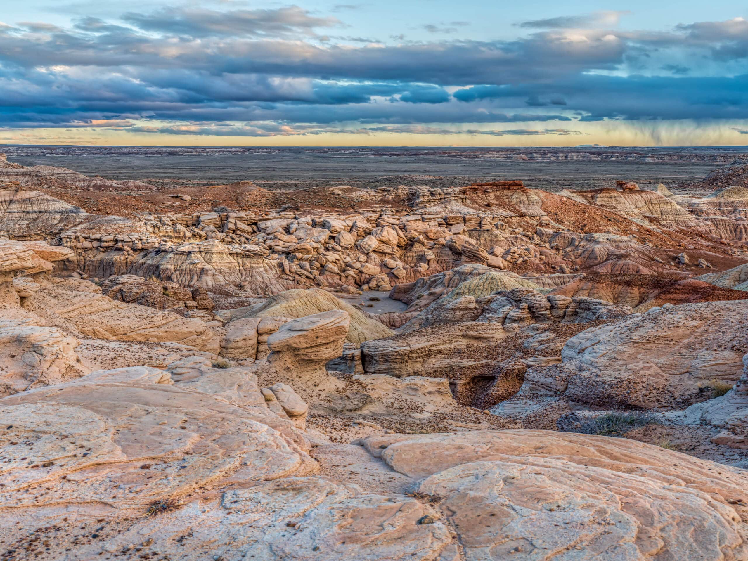 Blue Mesa Trail