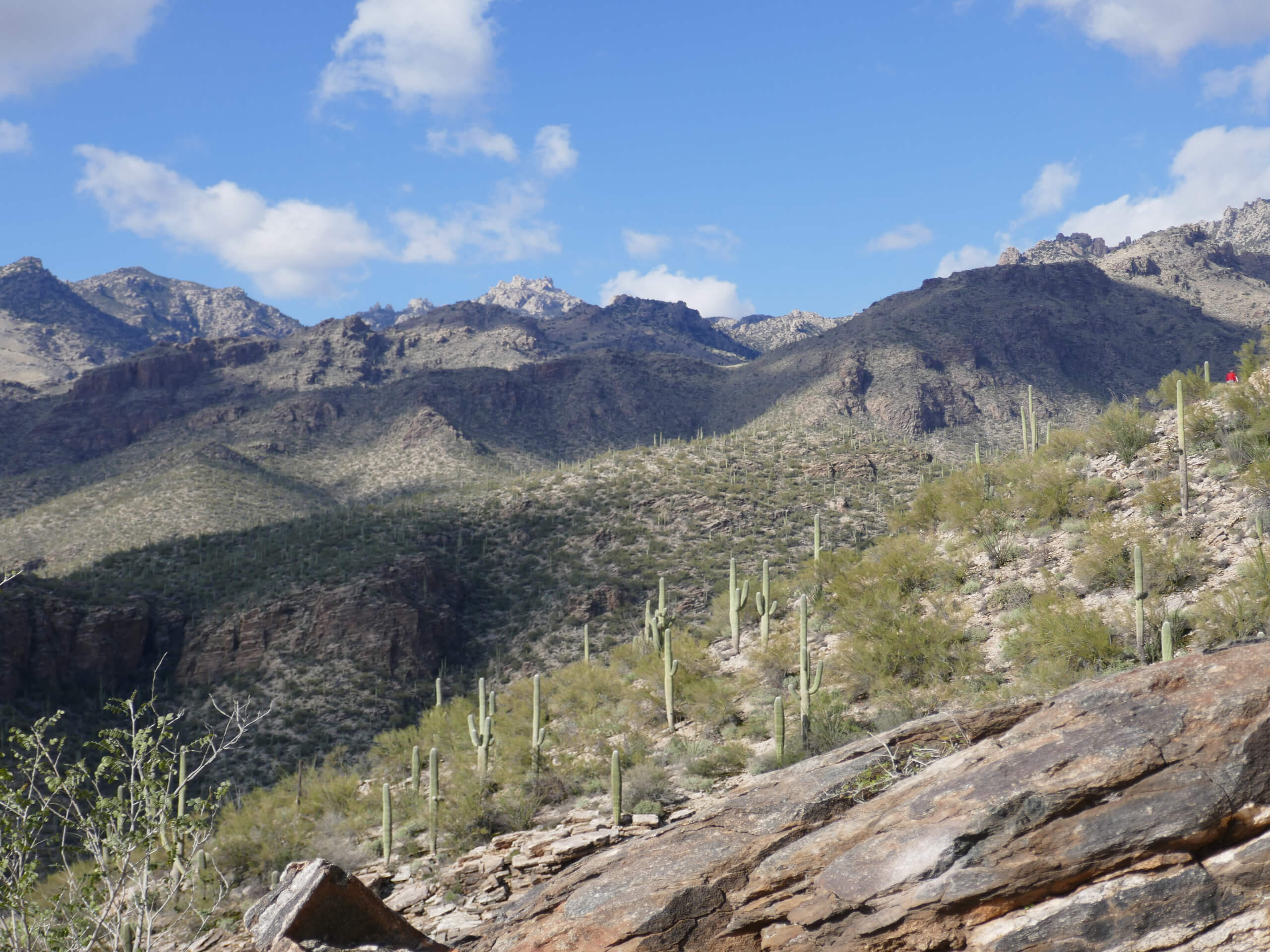 Blackett's Ridge Trail from Bear Canyon