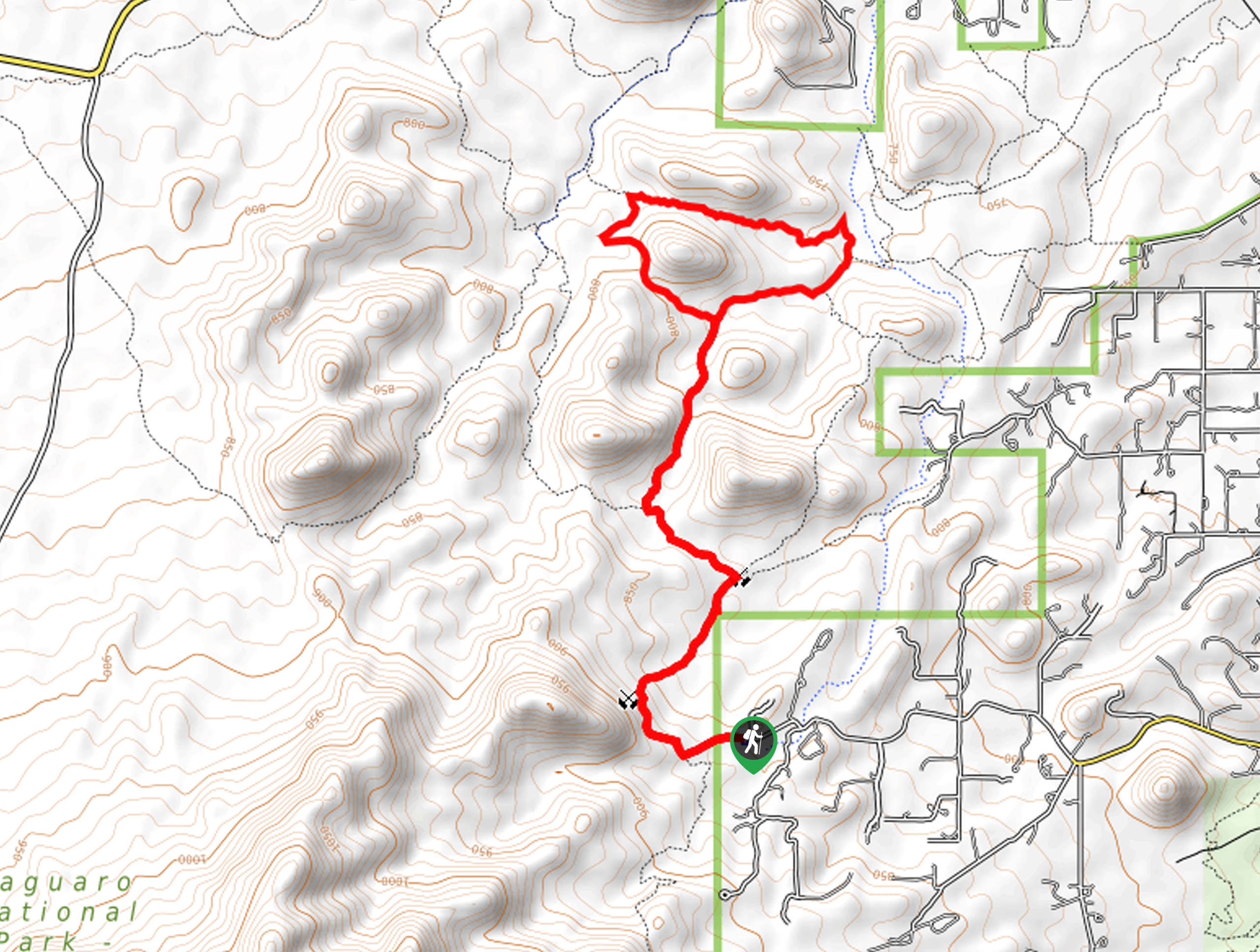 Cactus Canyon and Gila Monster Loop Map