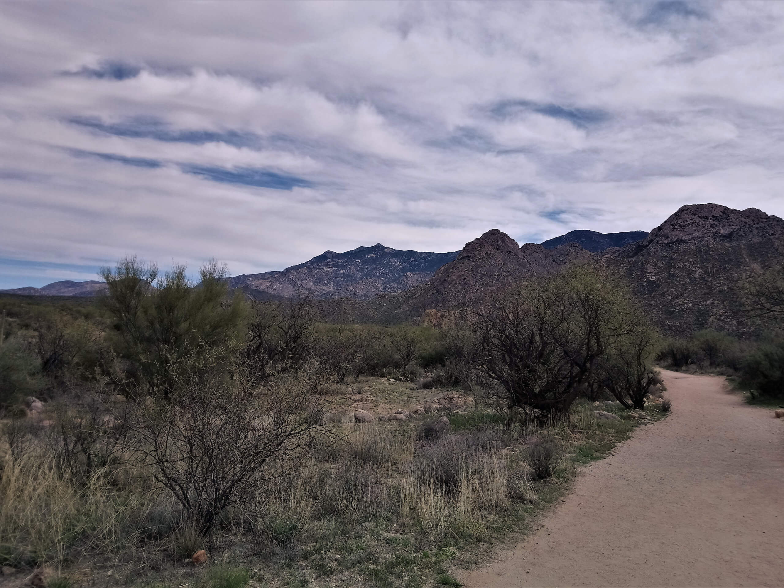 Catalina Nature Trail