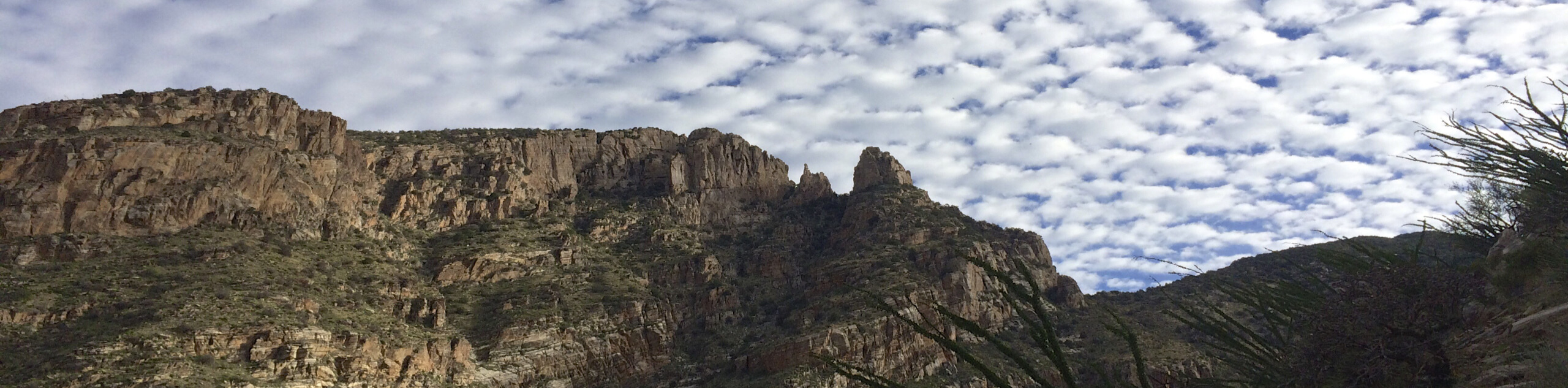 Finger Rock Trail to Pima Canyon Trail