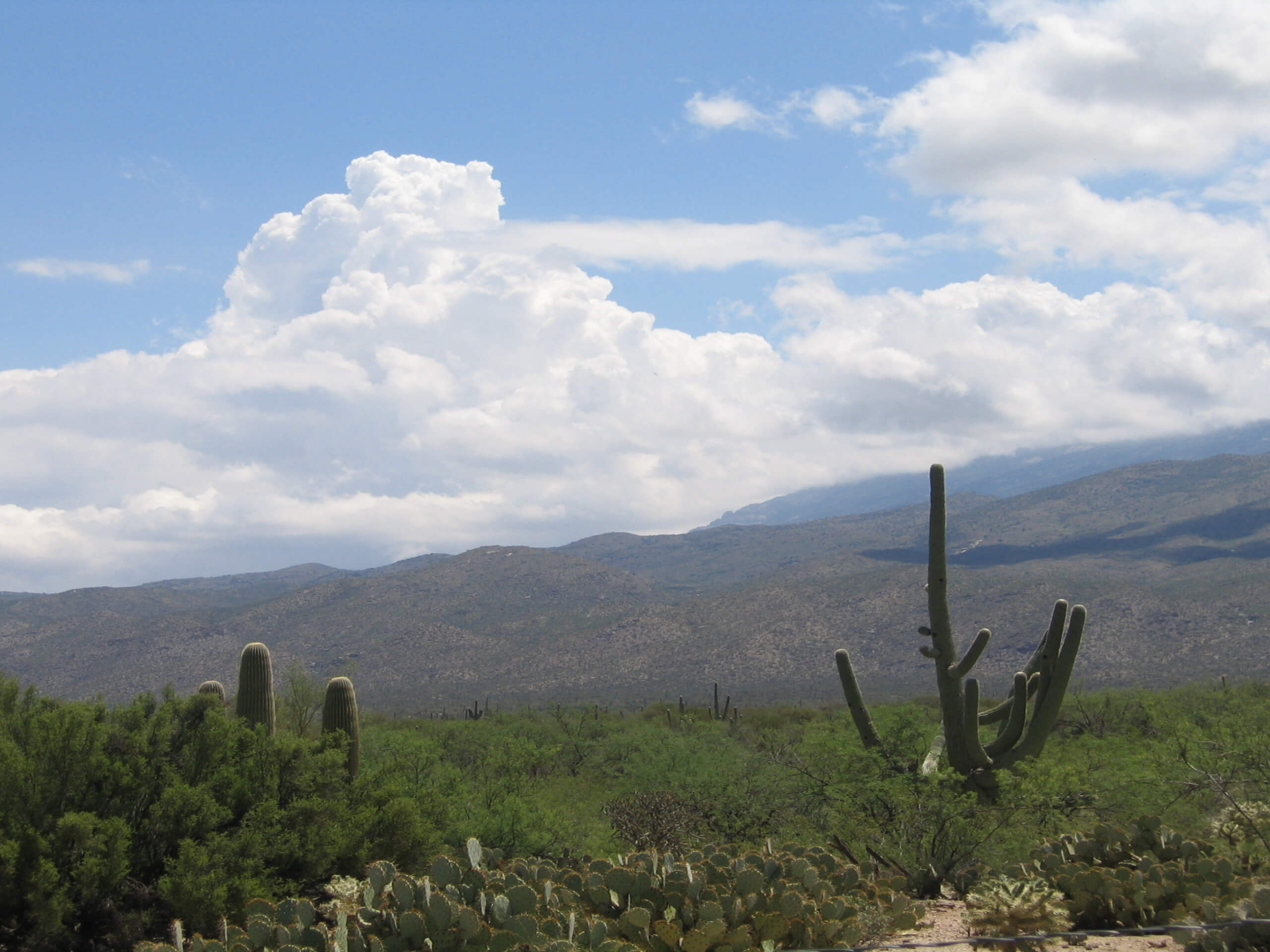 Hope Camp Hike