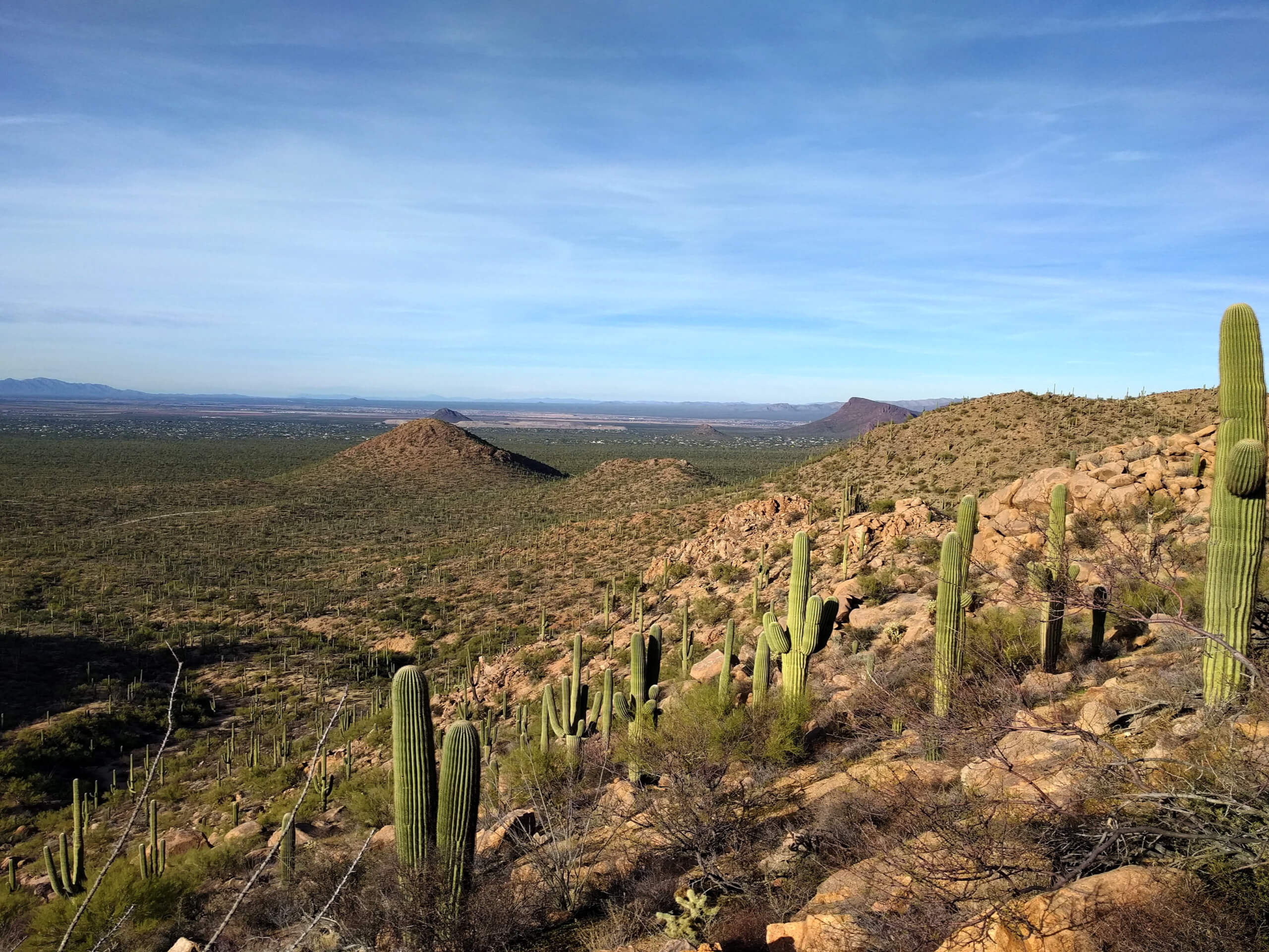 Hugh Norris, Sendero Esperanza, and Dobbie Wash Loop