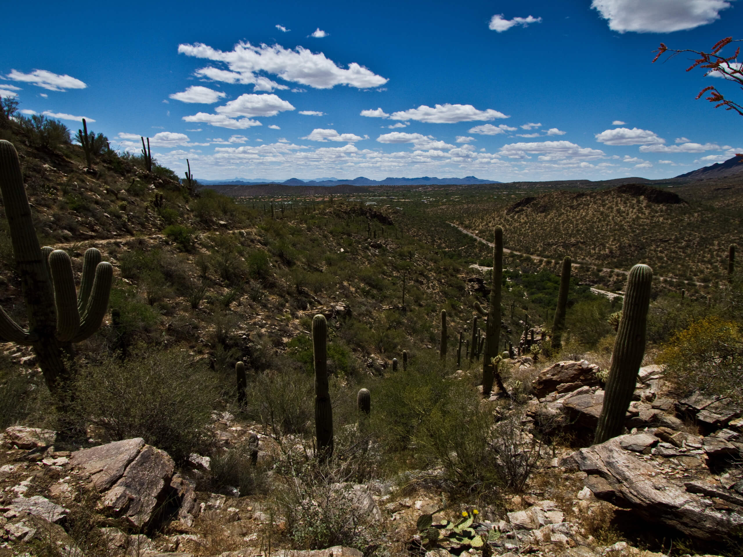 Hutch's Pool via West Fork Sabino Trail