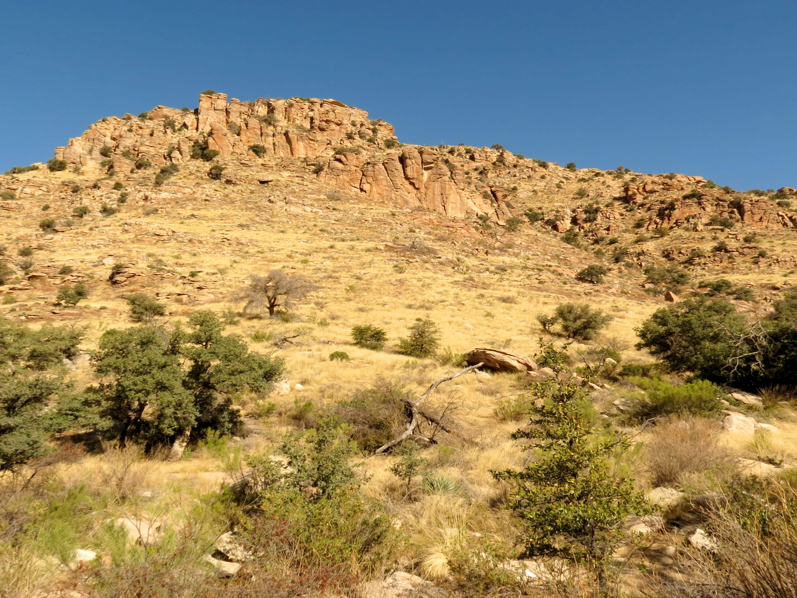 Molino Basin via Arizona Trail