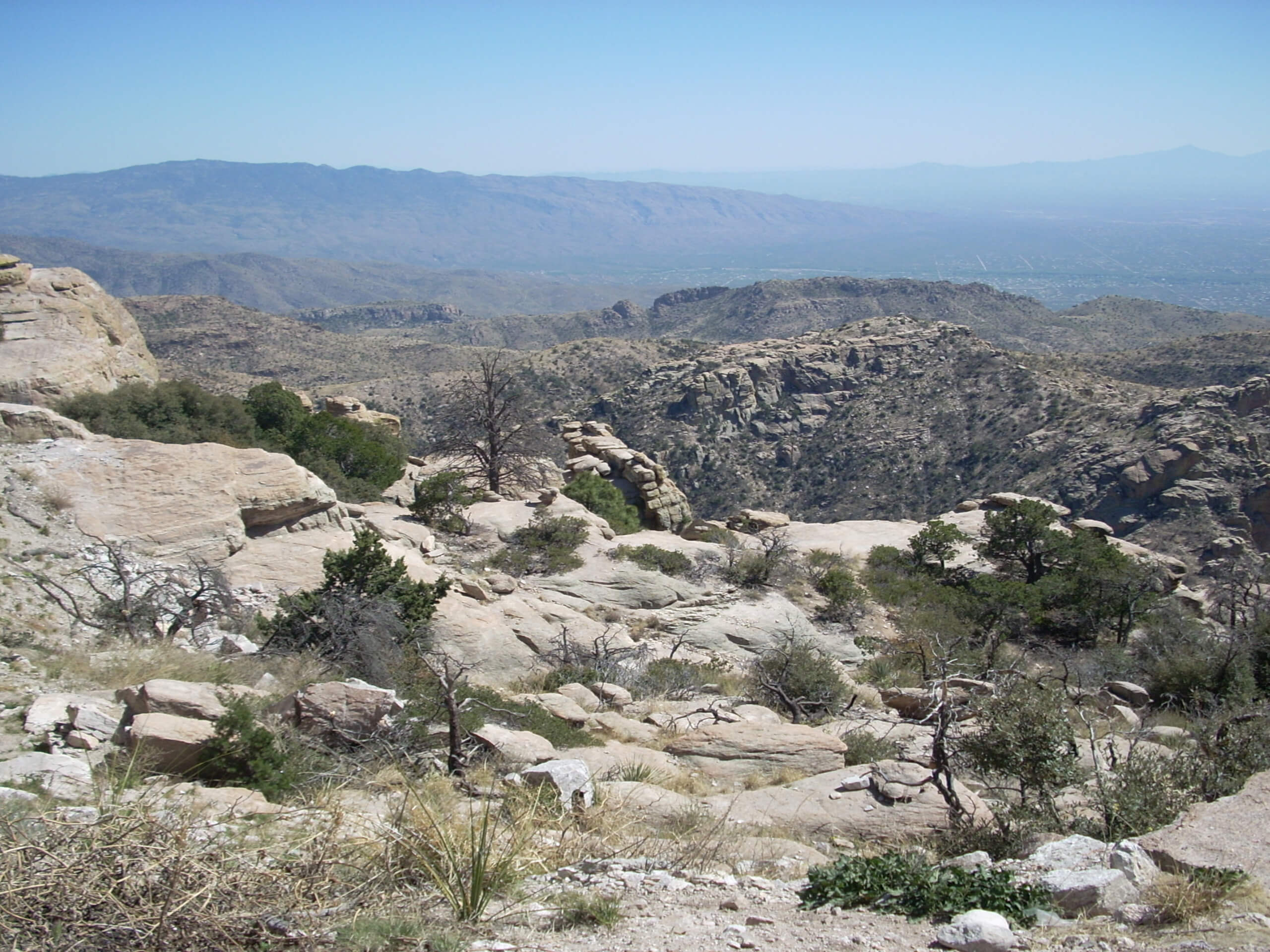 Mount Lemmon, Wilderness of Rocks, and Aspen Loop