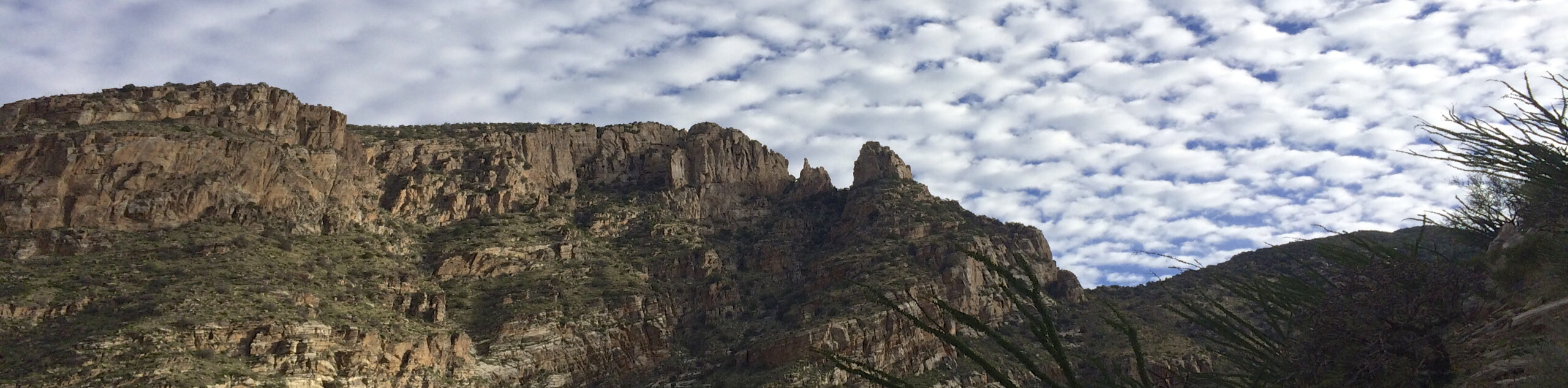 Pontatoc Canyon Trail
