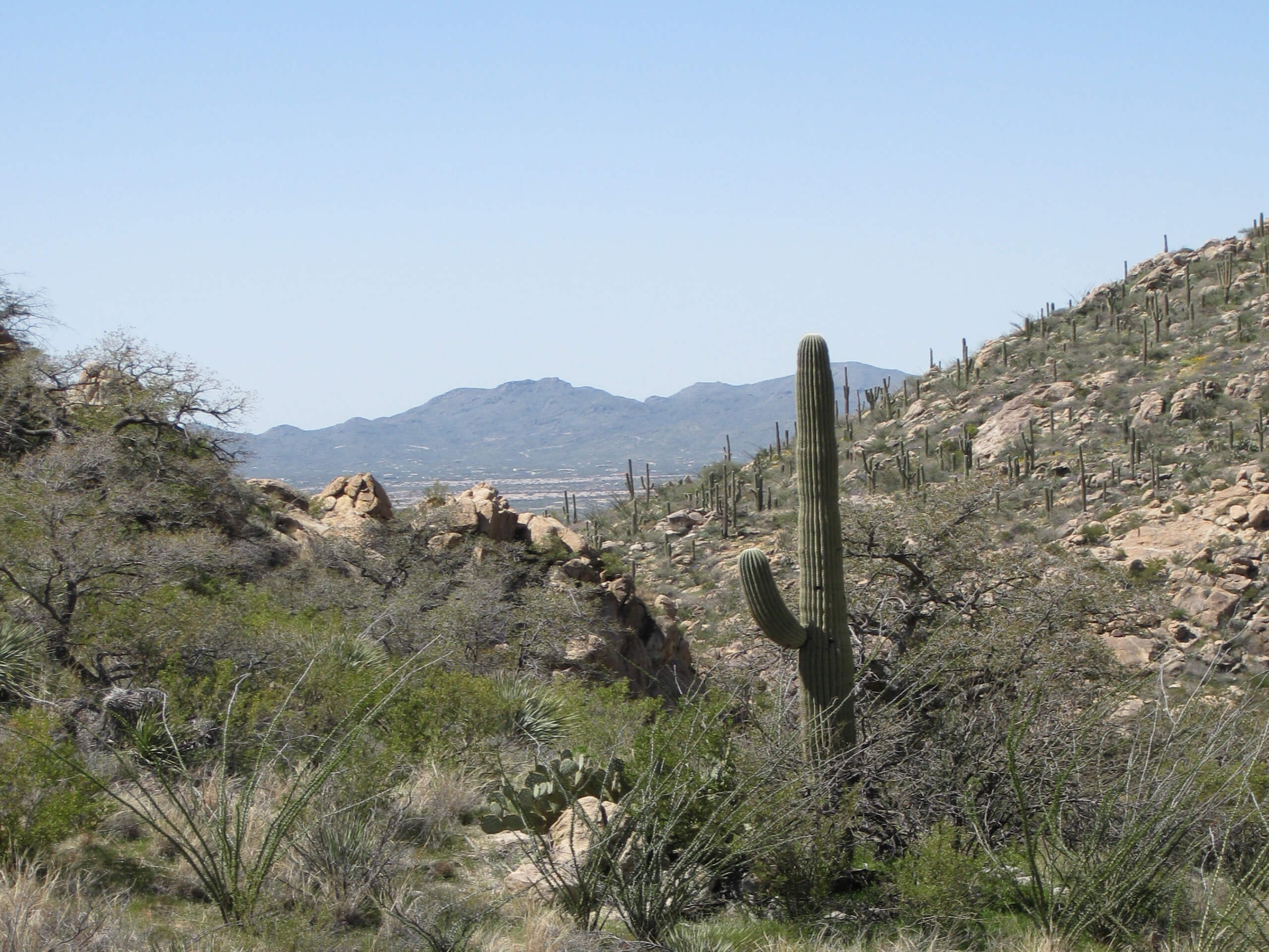 Romero Ruins Hike