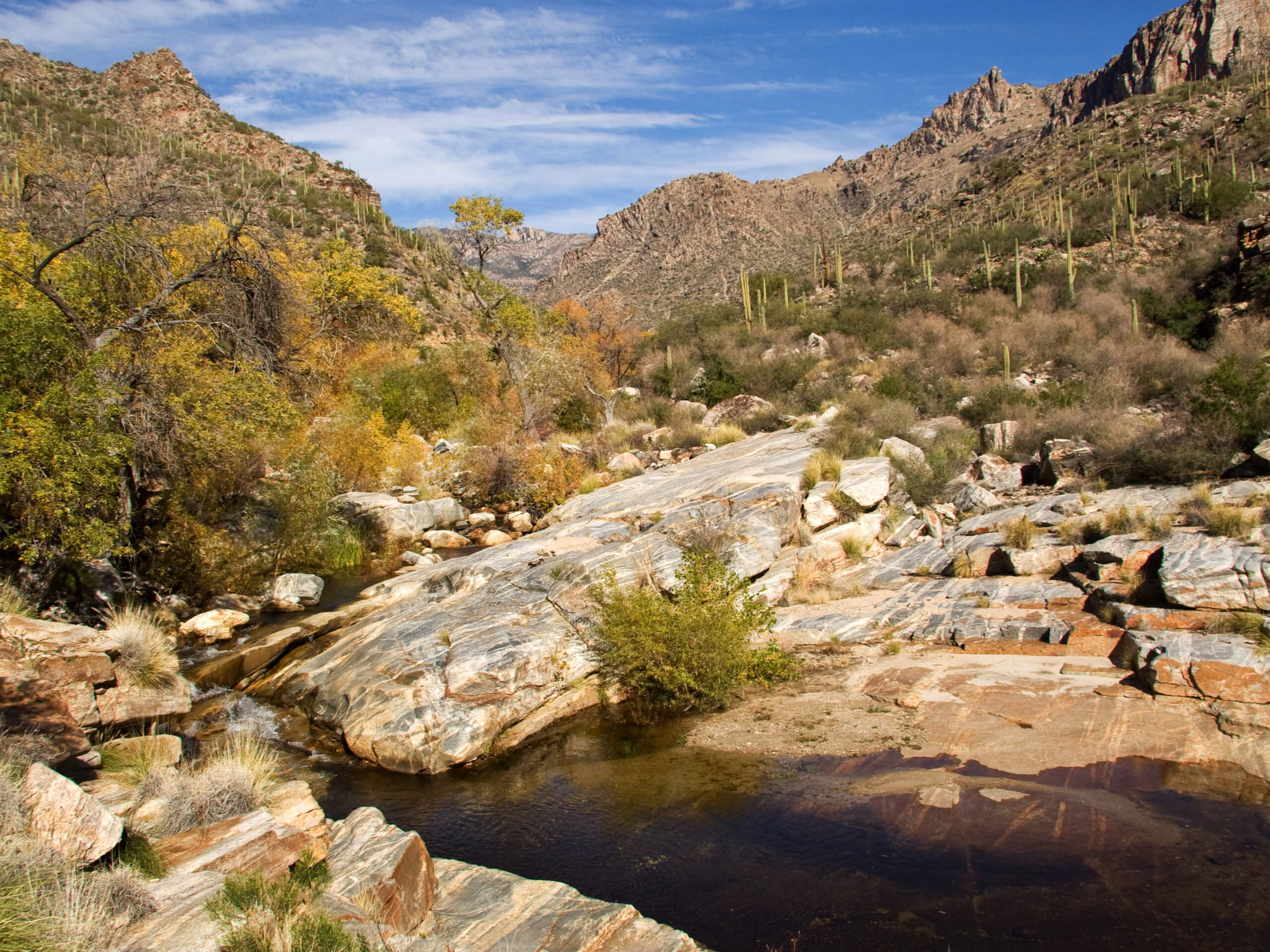 Sabino Lake, Creek Trail, and Rattlesnake Loop