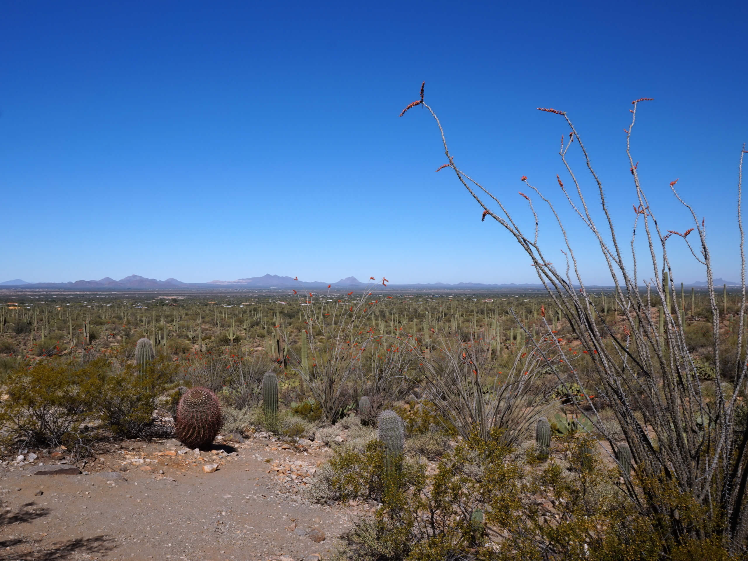 Valley View Overlook Trail