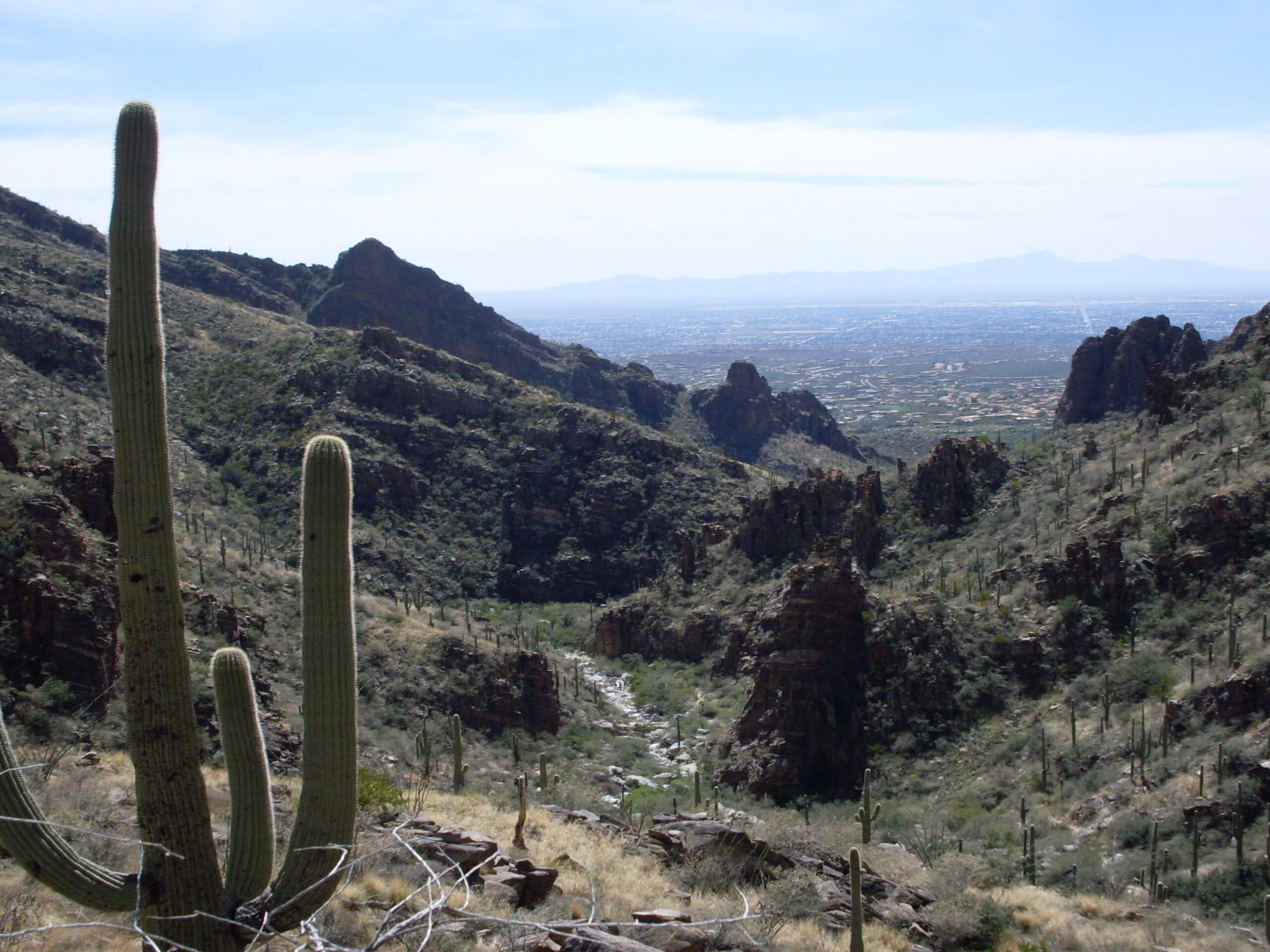 Ventana and Esperero Trail