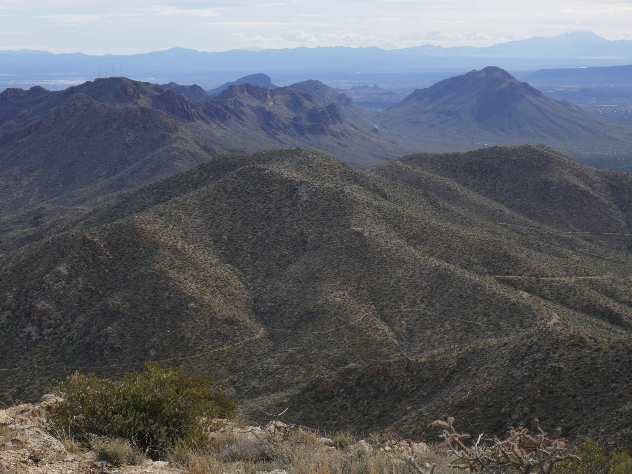 Wasson Peak via King Canyon Trail