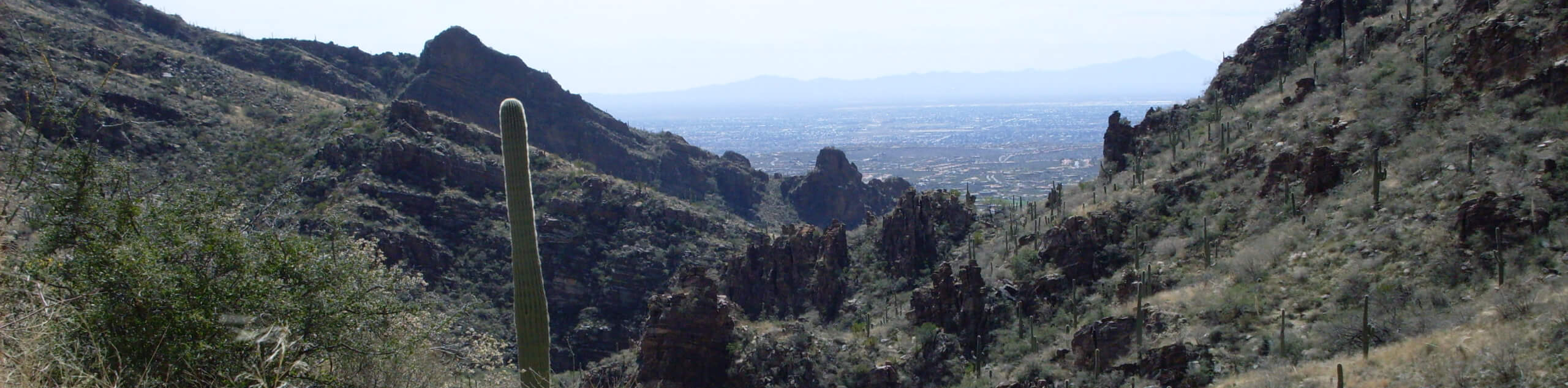 Window Peak via Ventana Canyon Trail
