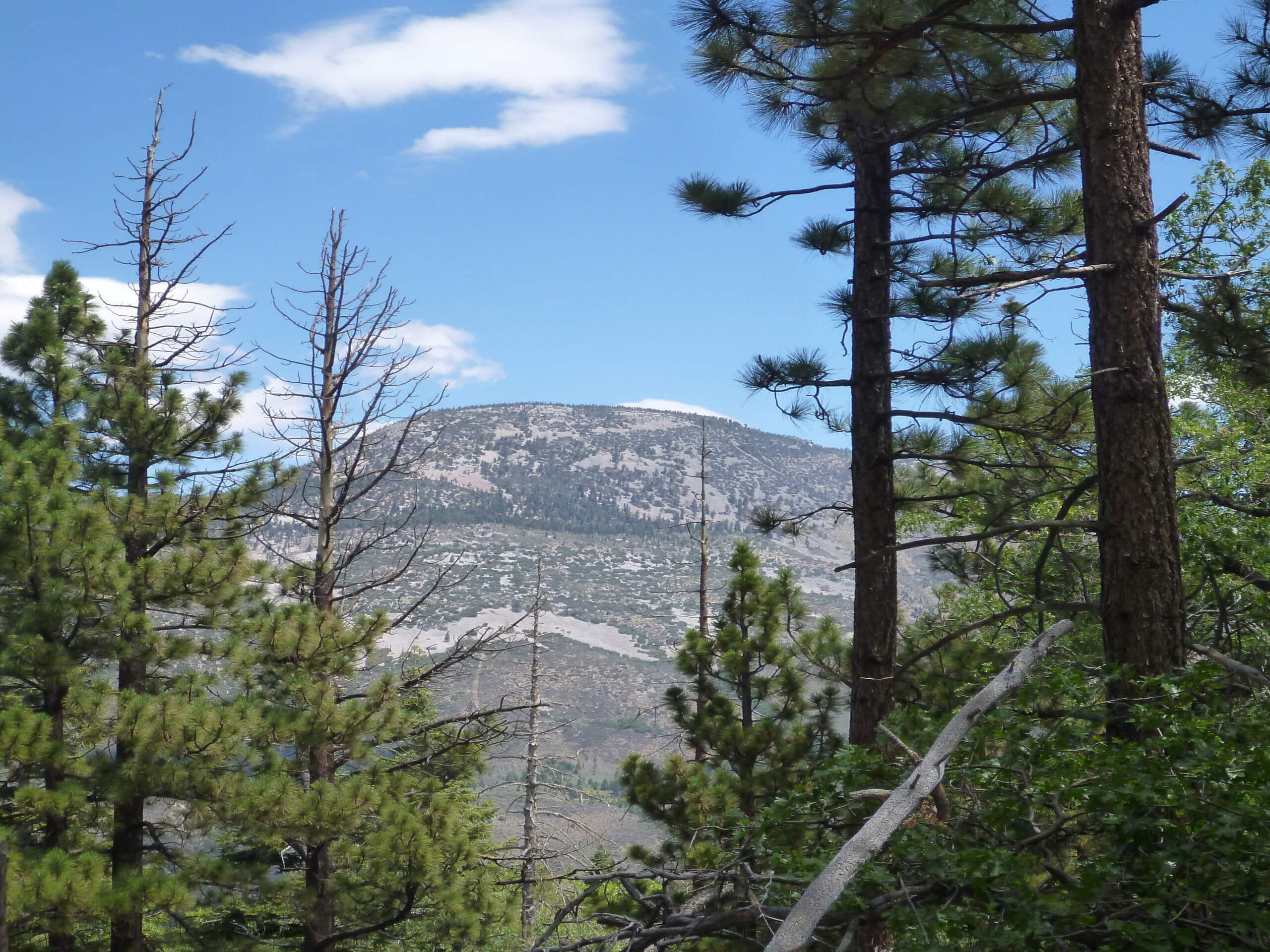 2N10 Trail to Bear and Silvertip Peaks