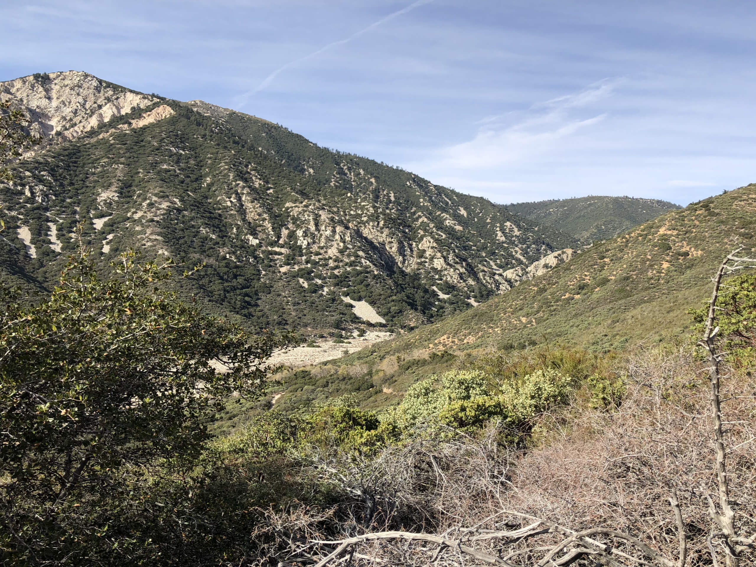 Bear Creek from Glory Ridge Road Hike