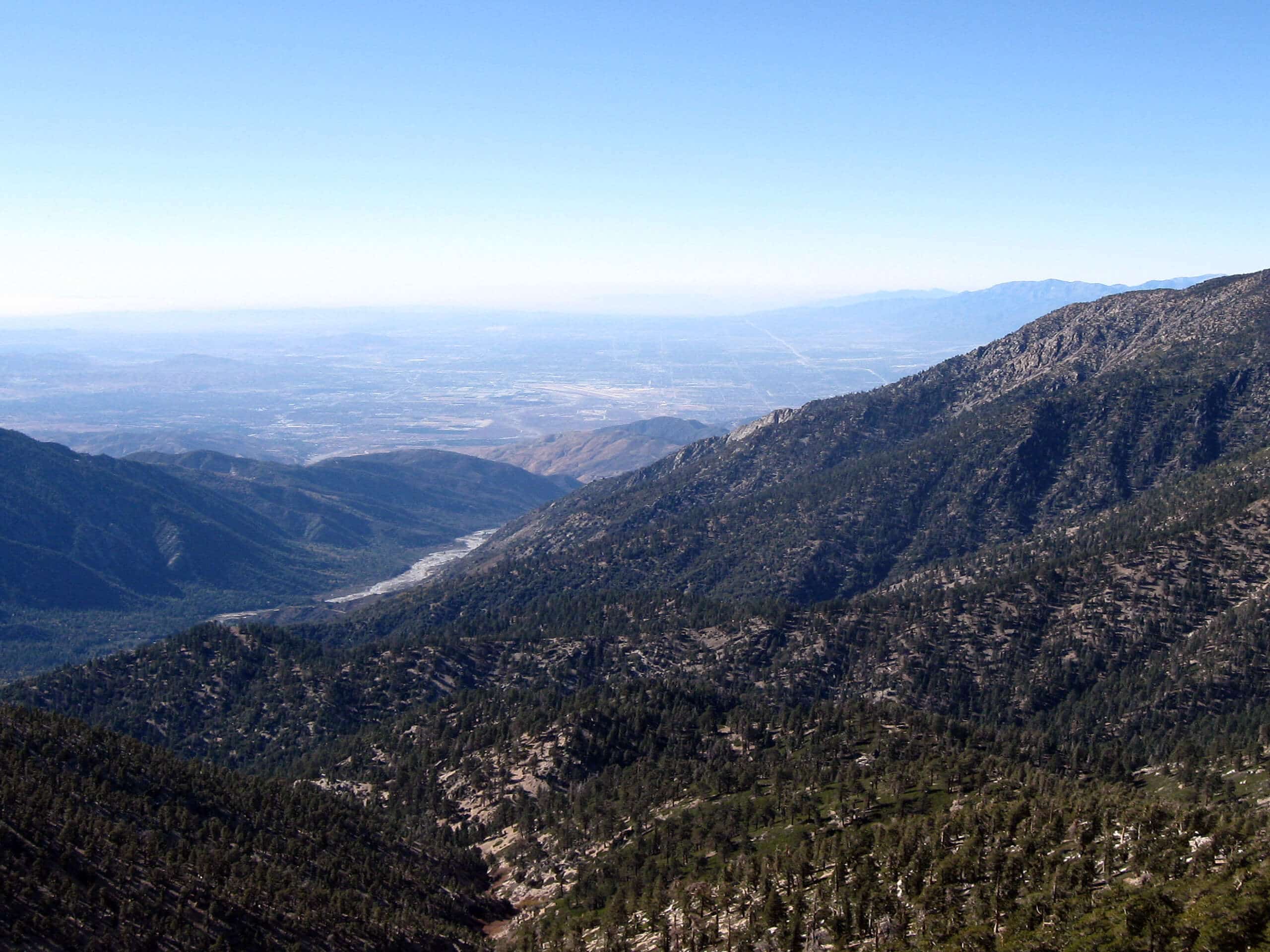 Mill Peak Trail