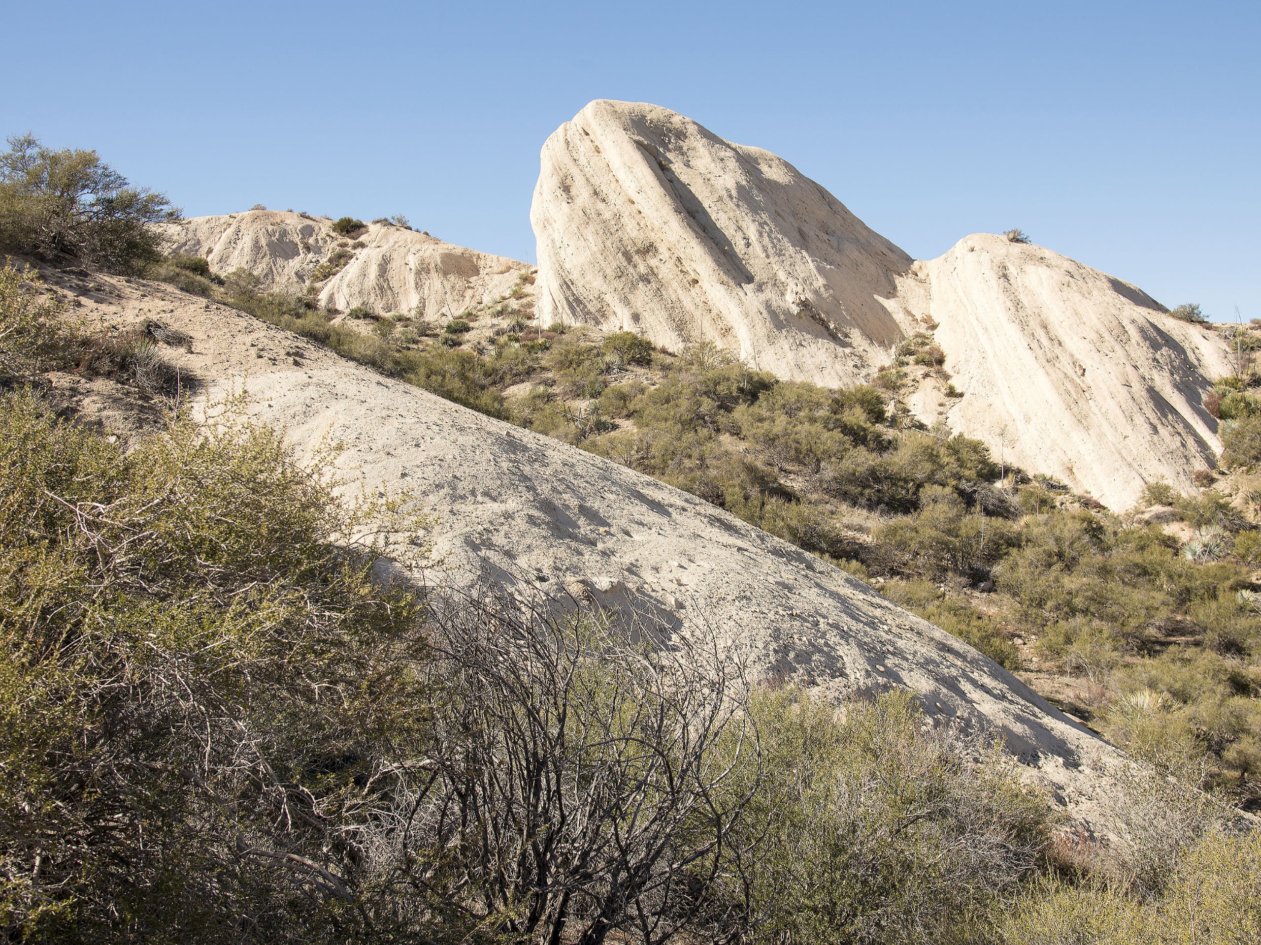 Mormon Rocks Interpretive Trail