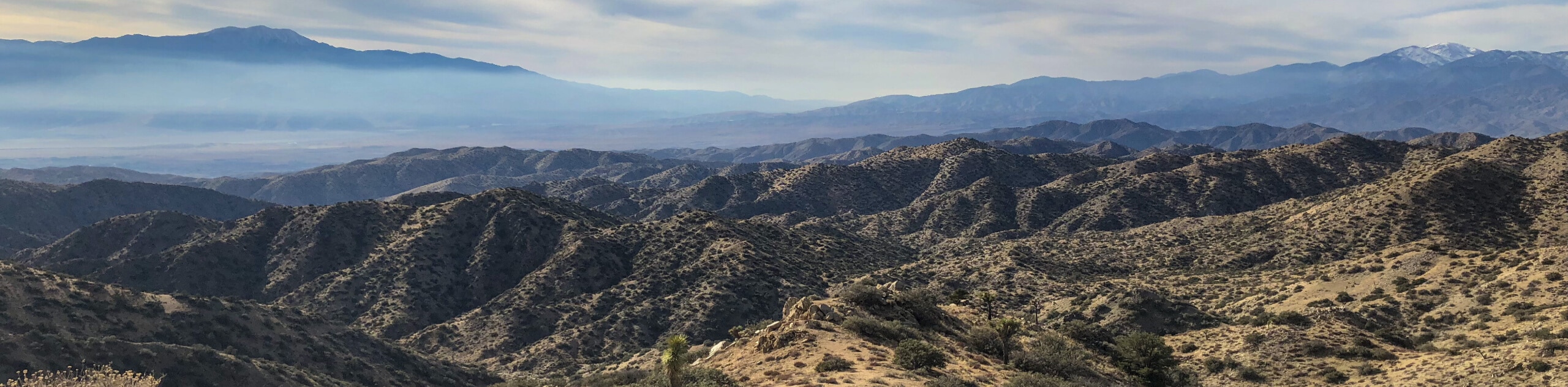 Mount San Jacinto Hike