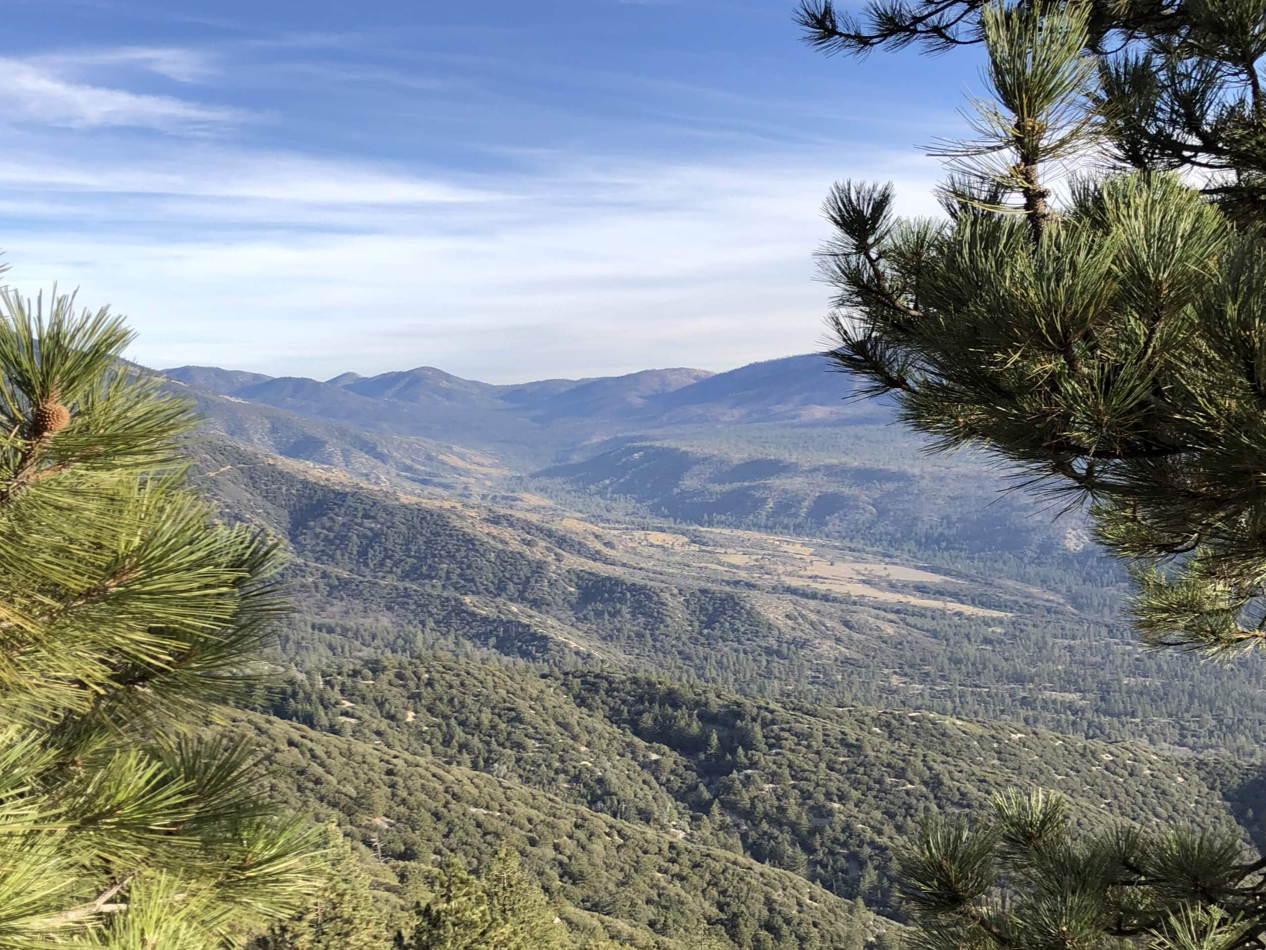 Pine Knoll and Skyline Ridge Loop Hike