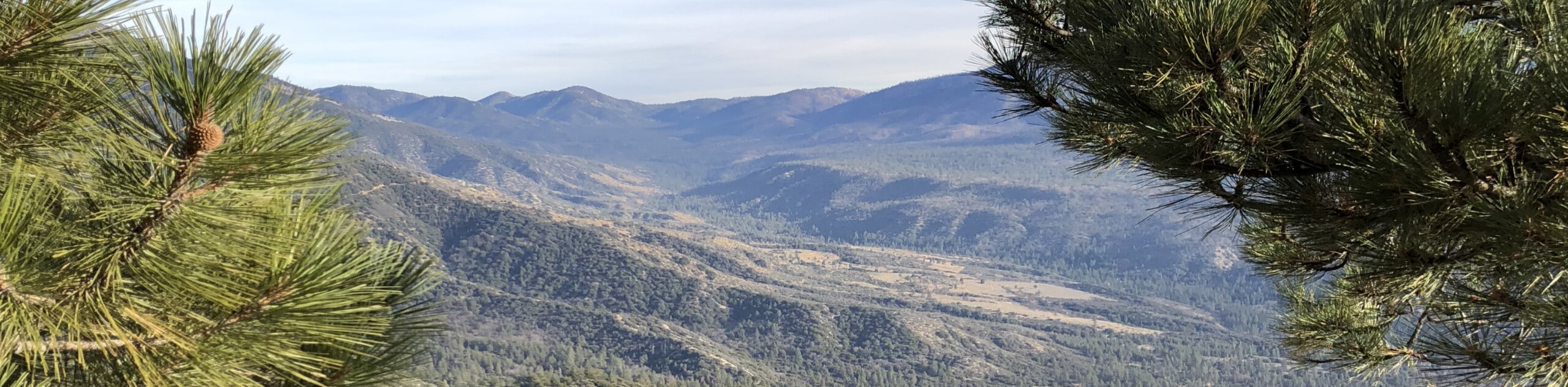 Pine Knoll and Skyline Ridge Loop Hike