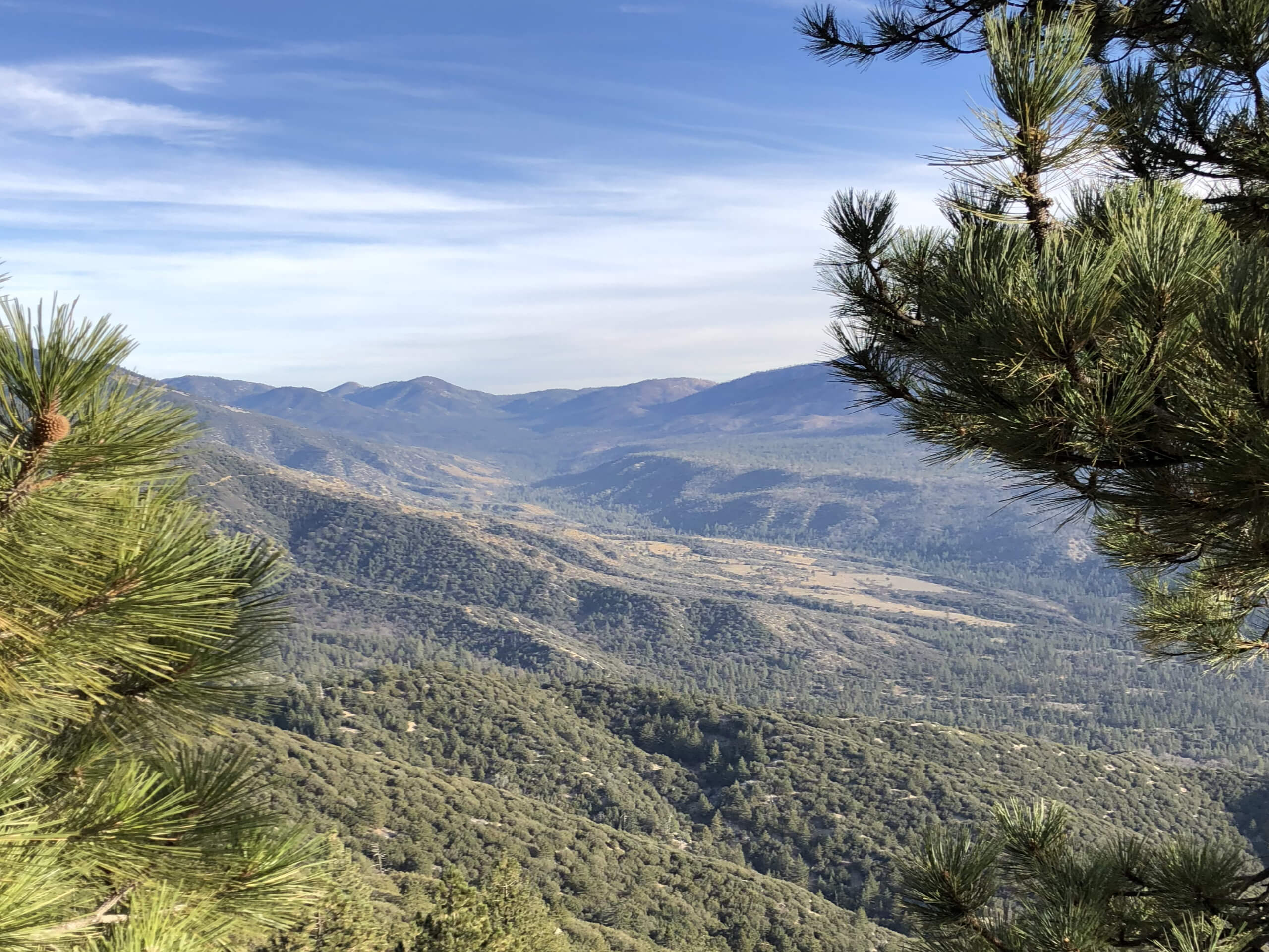 Plantation Trail to Grand View Point