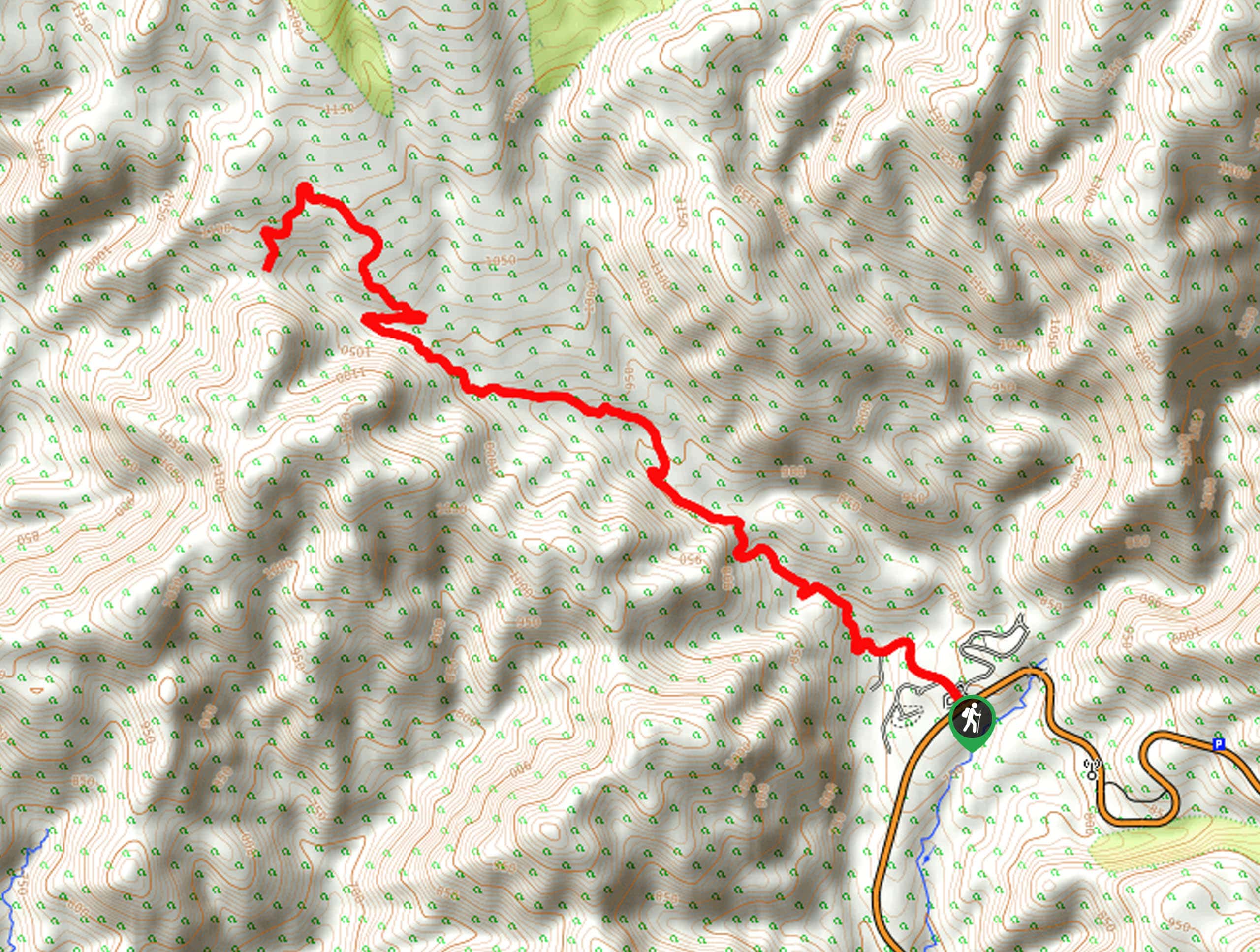 Forest Service Road N22 Hike Map