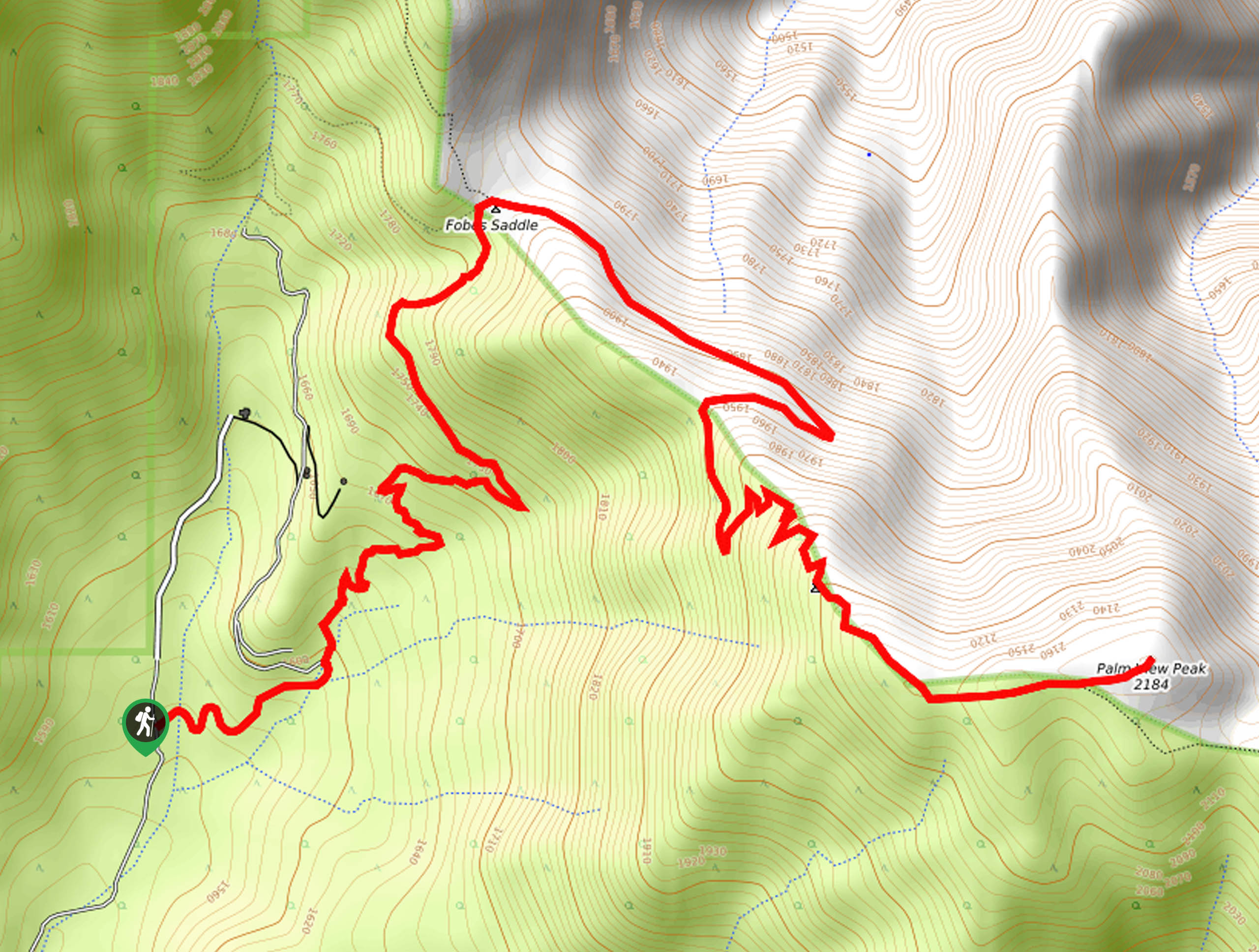 Palm View Peak Trail Map