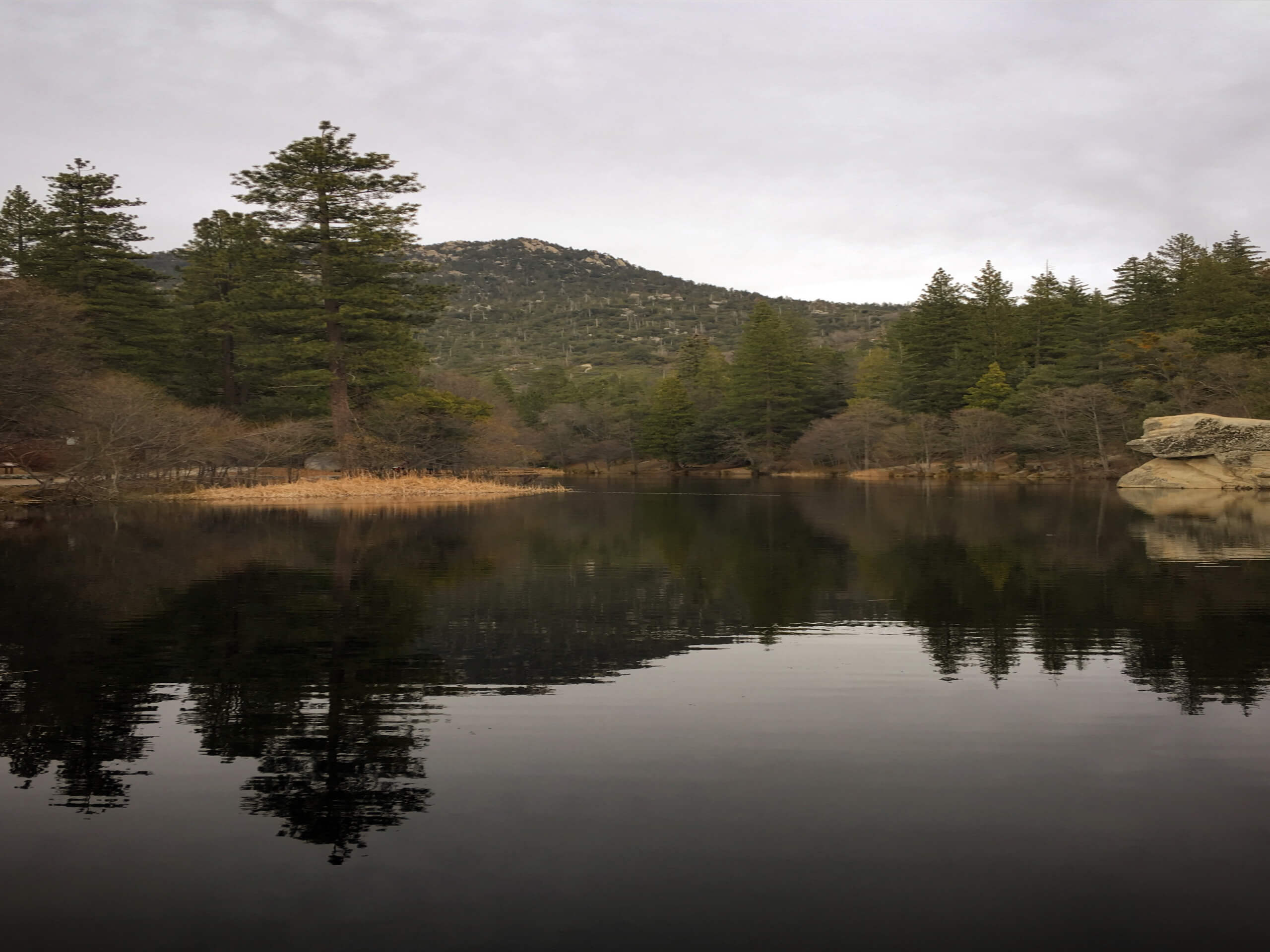 San Jacinto River South Fork Hike