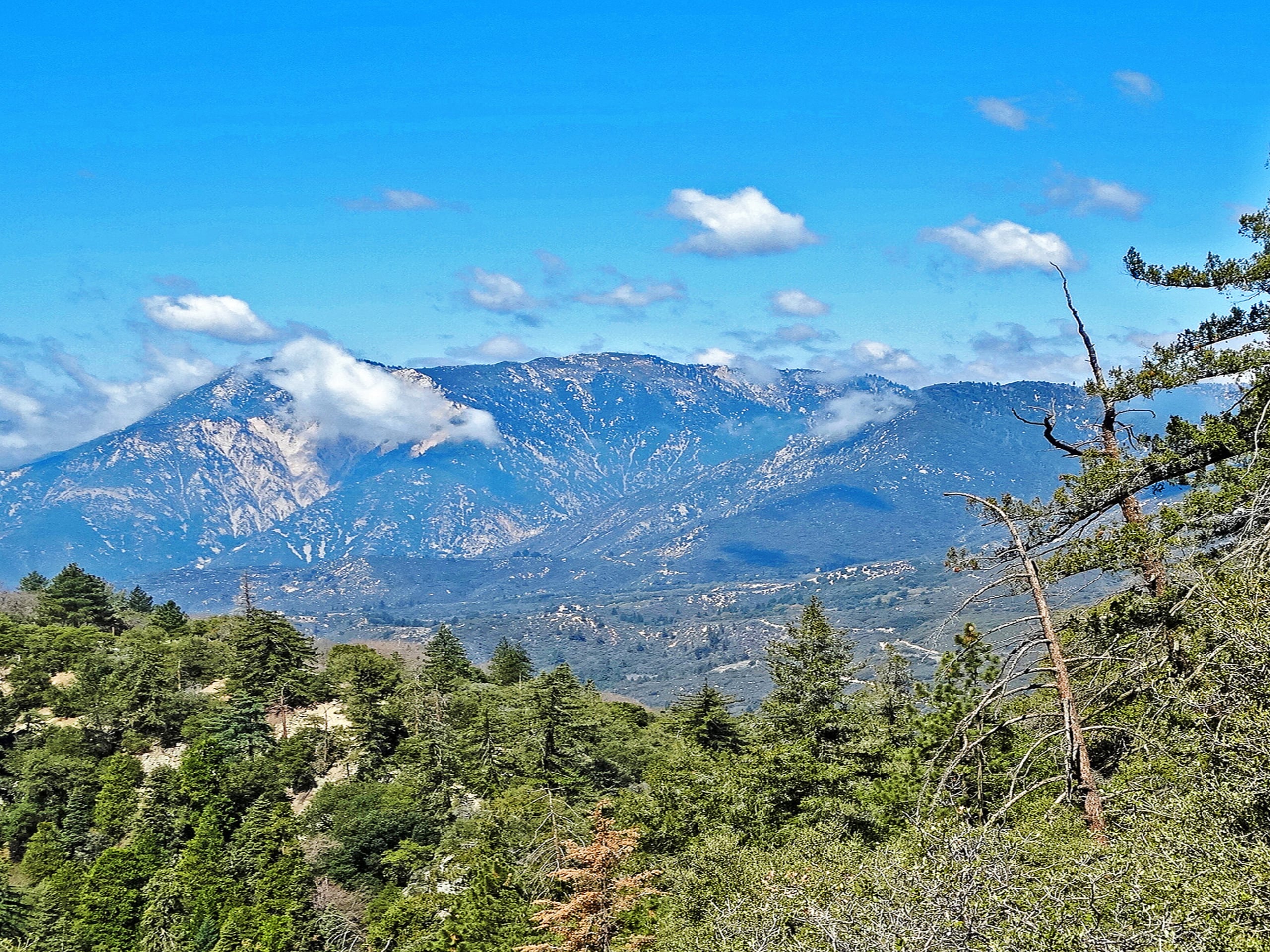 Seven Oaks Trail