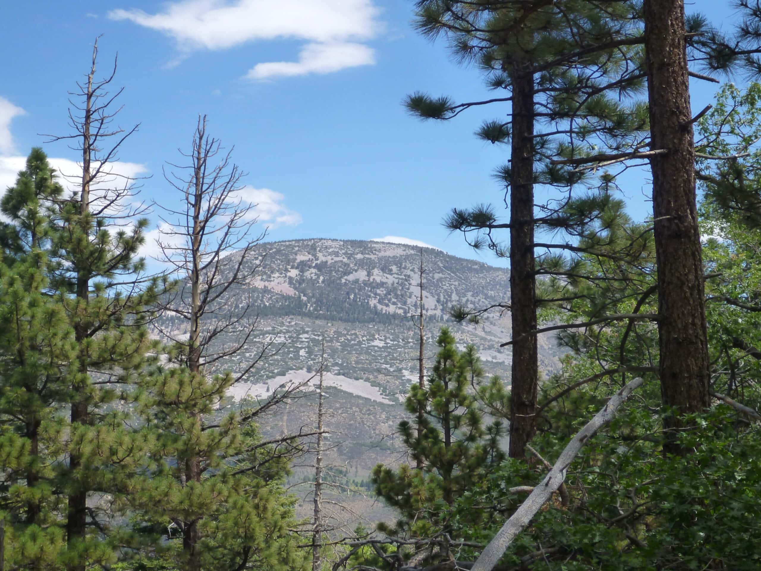 Skyline to Snow Summit Trail