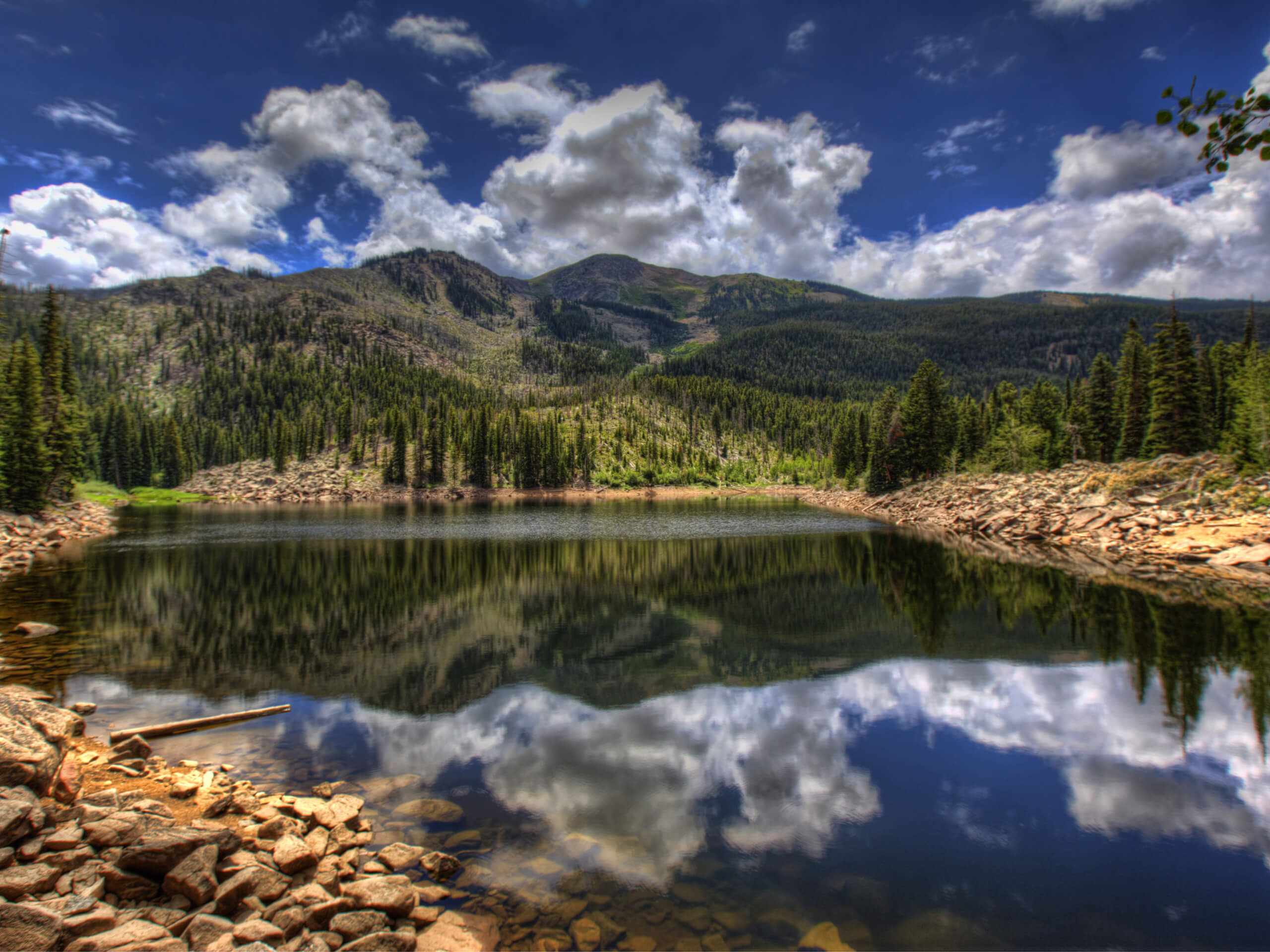 Weller Lake Trail