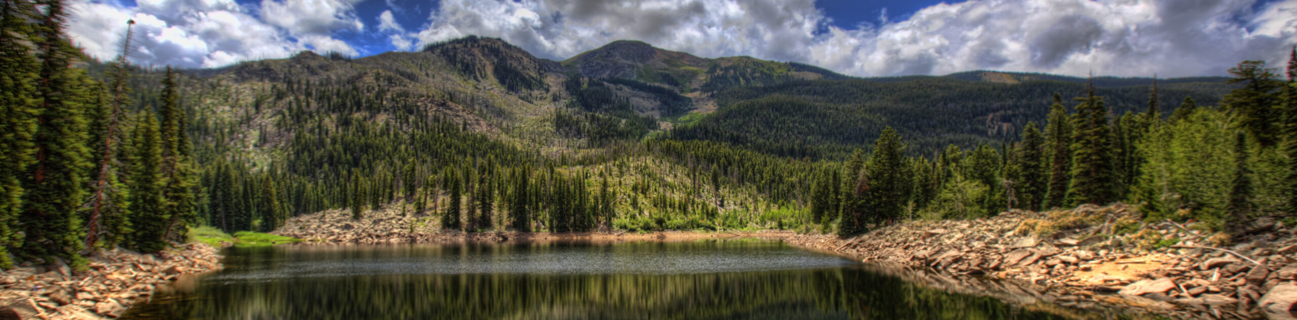 Weller Lake Trail