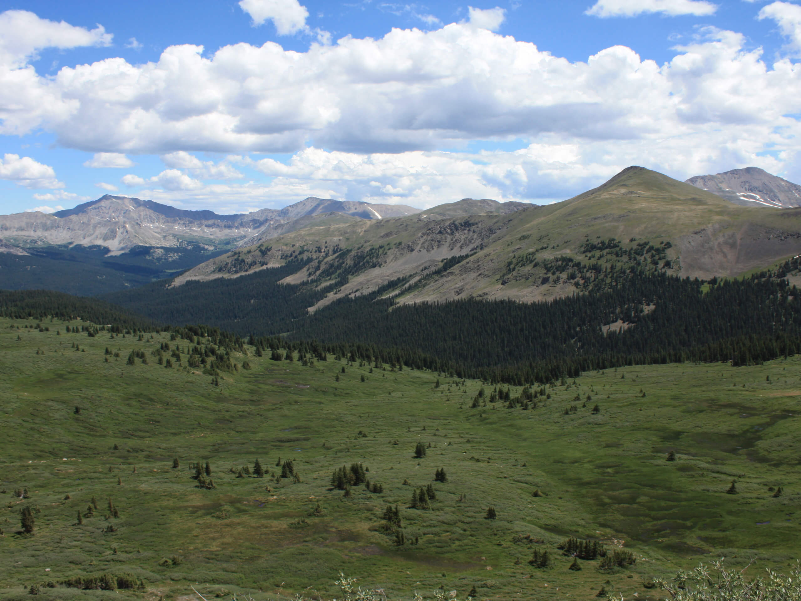 Collegiate Peaks Campground Hike