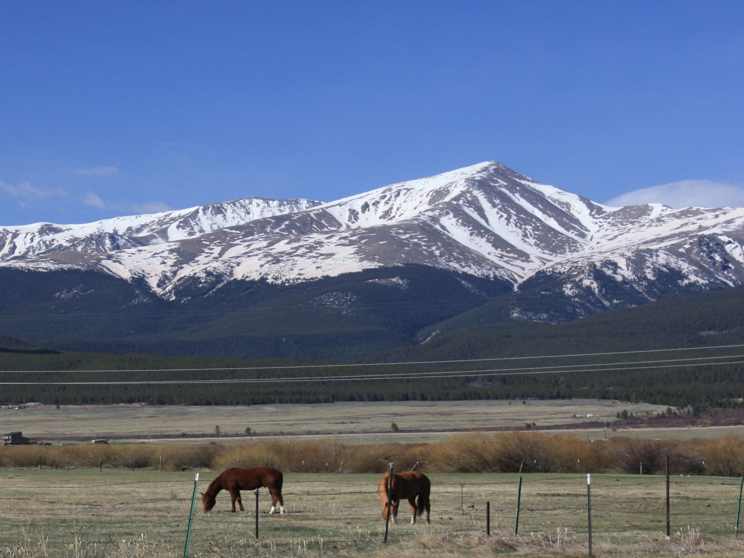 Mount Elbert East Ridge Trail