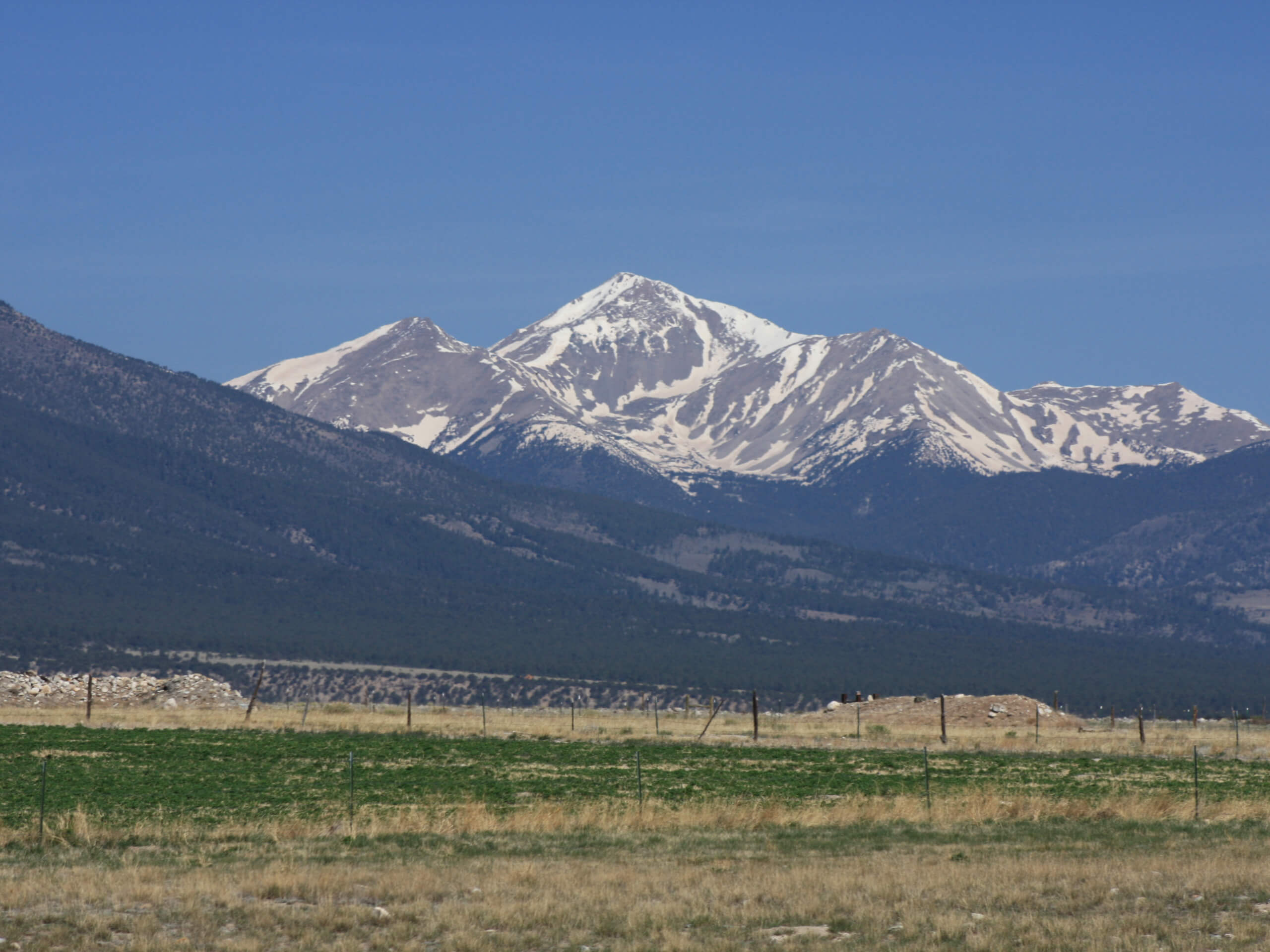 Mount Yale Summit Hike