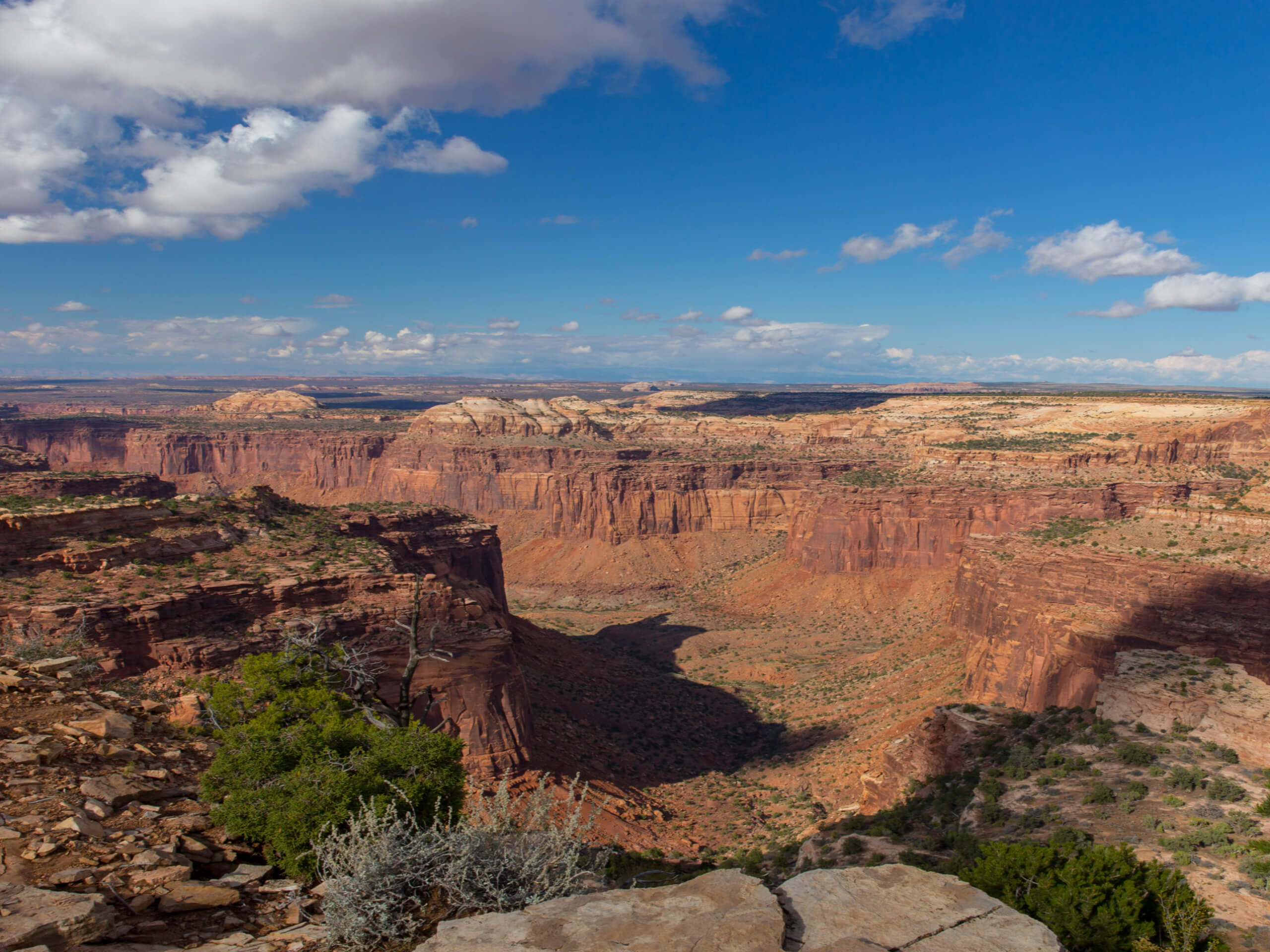 Alcove Spring Trail