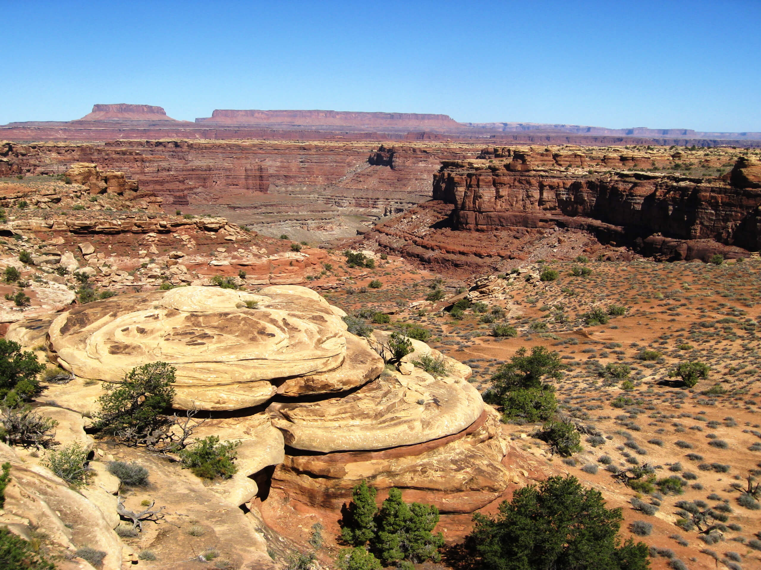 Squaw Flat, Big Springs, and Squaw Canyon Loop