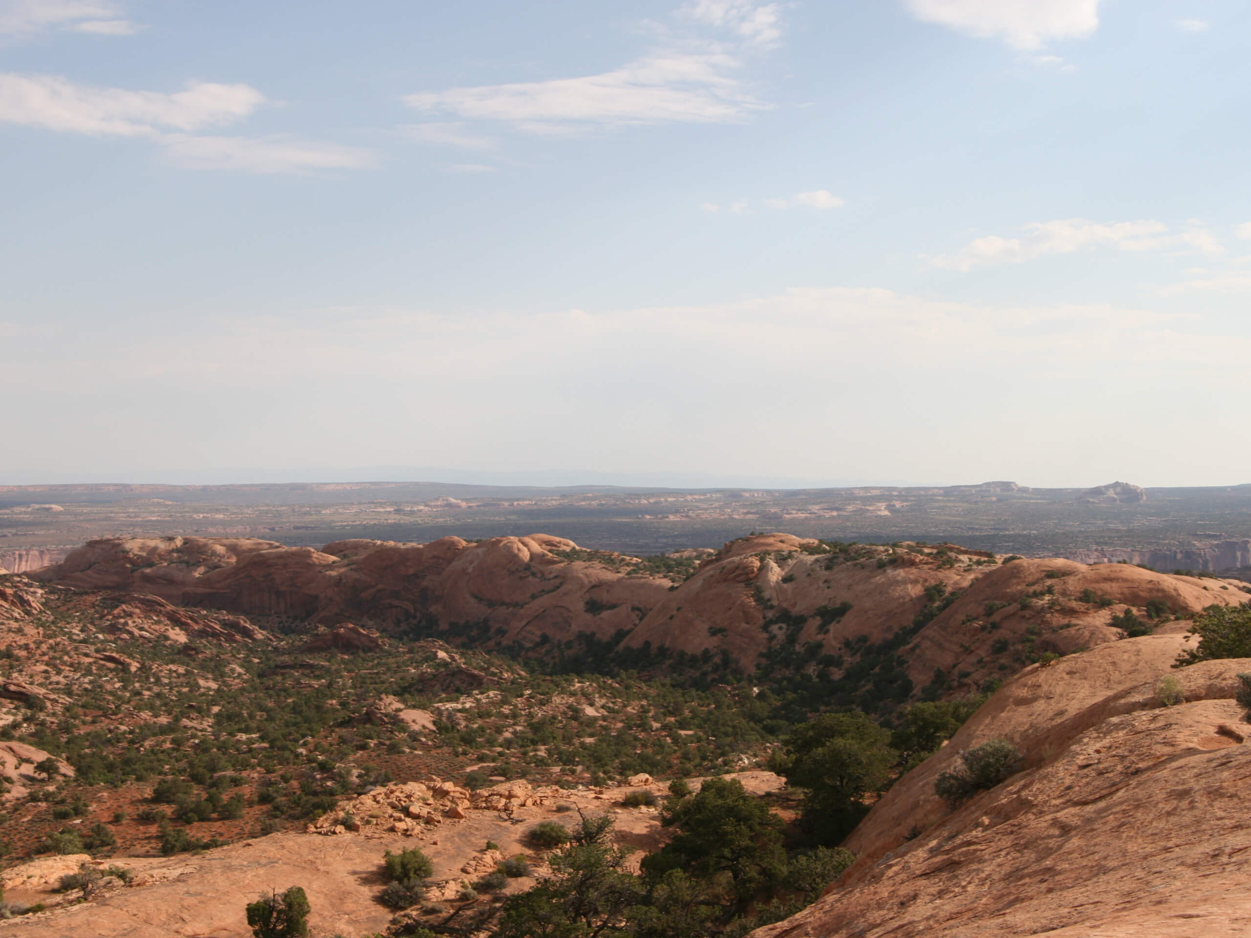 Whale Rock Trail