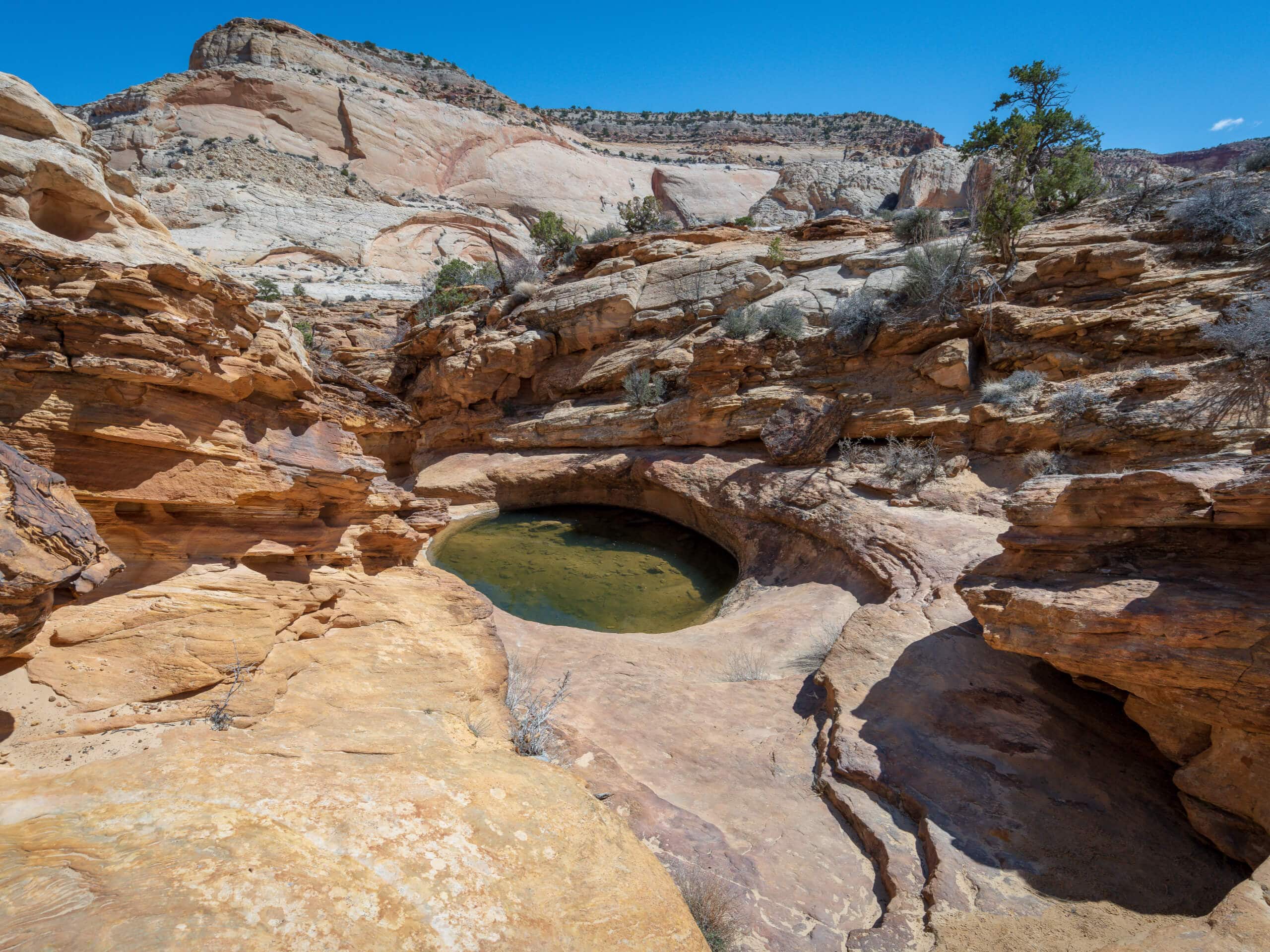 Capitol Gorge to Tanks Trail