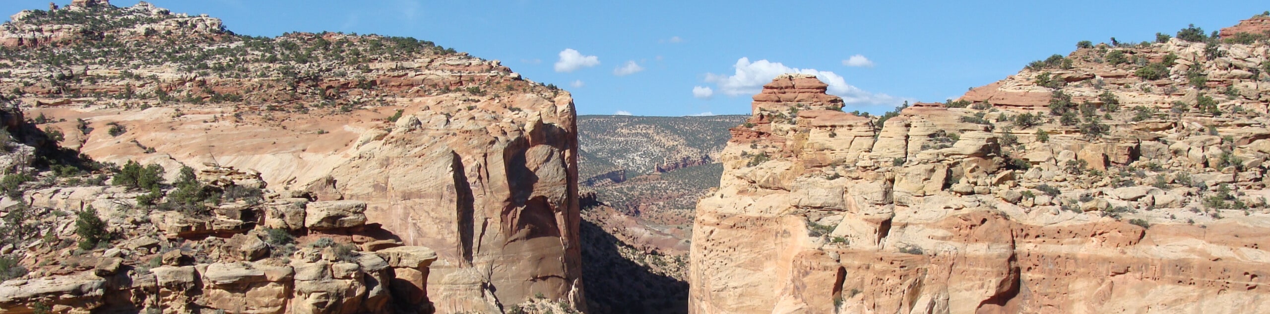 Cassidy Arch, Frying Pan, and Cohab Canyon Trail