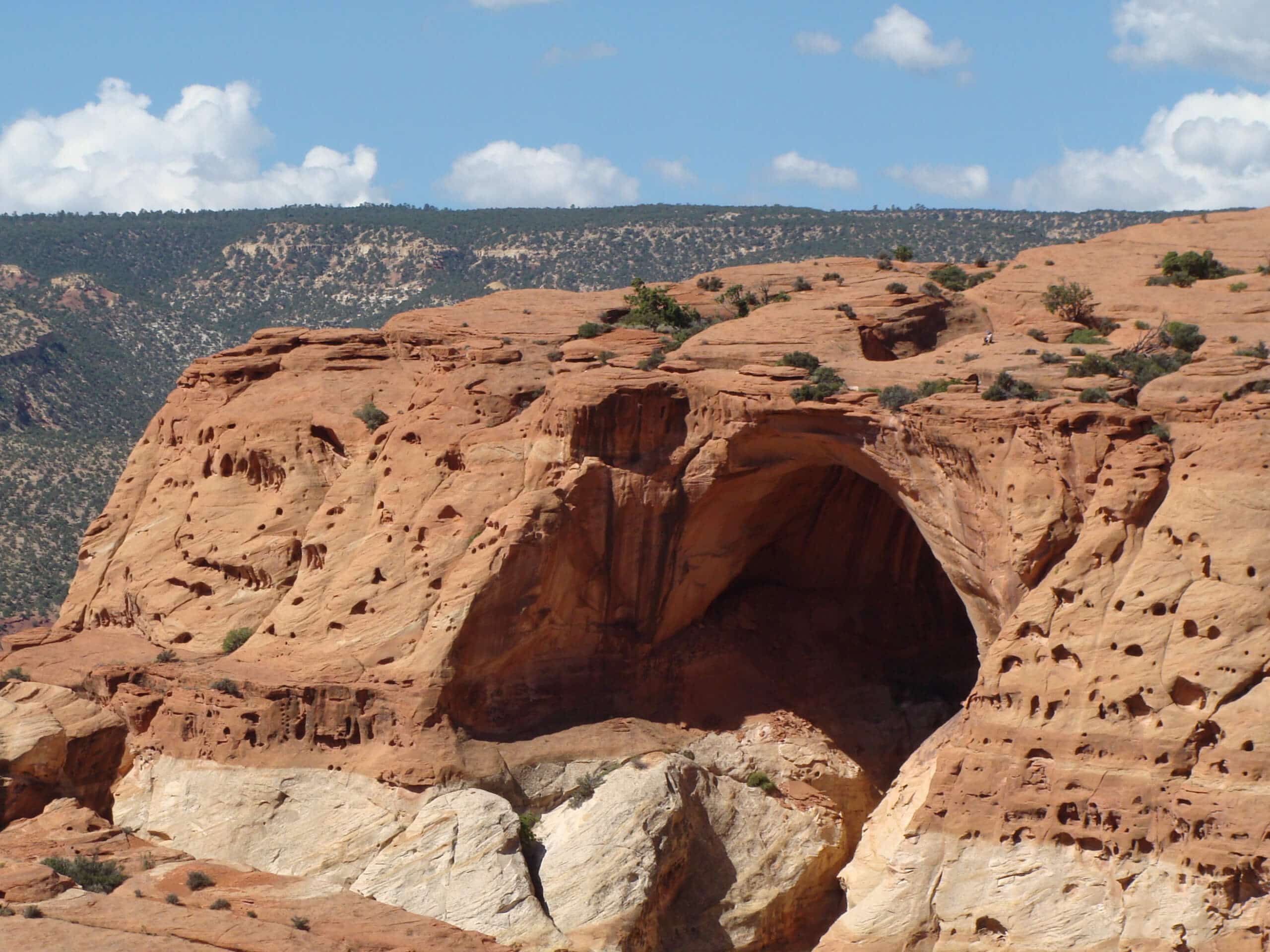 The Cassidy Arch Trail