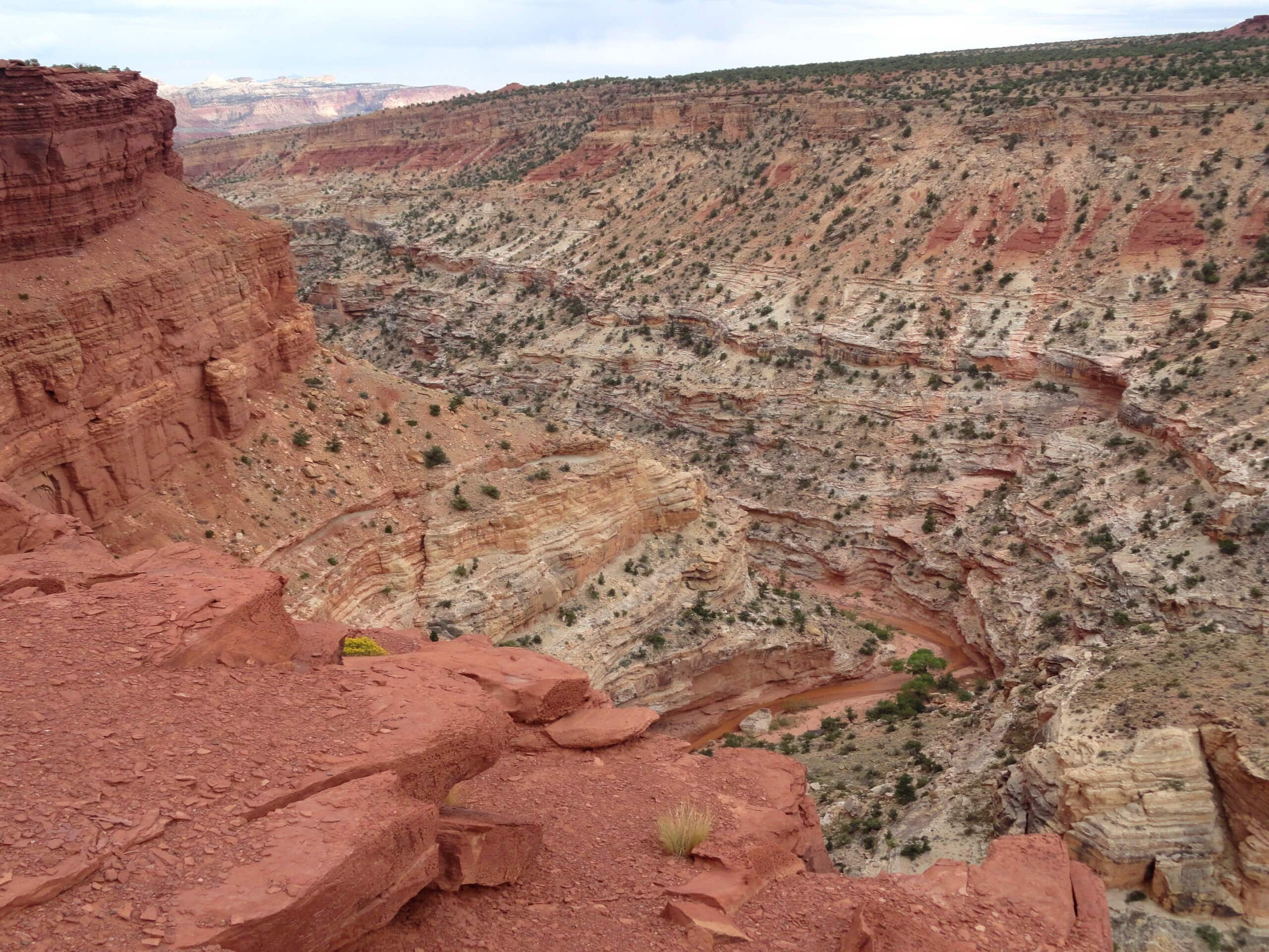 Goosenecks and Sunset Point Trail