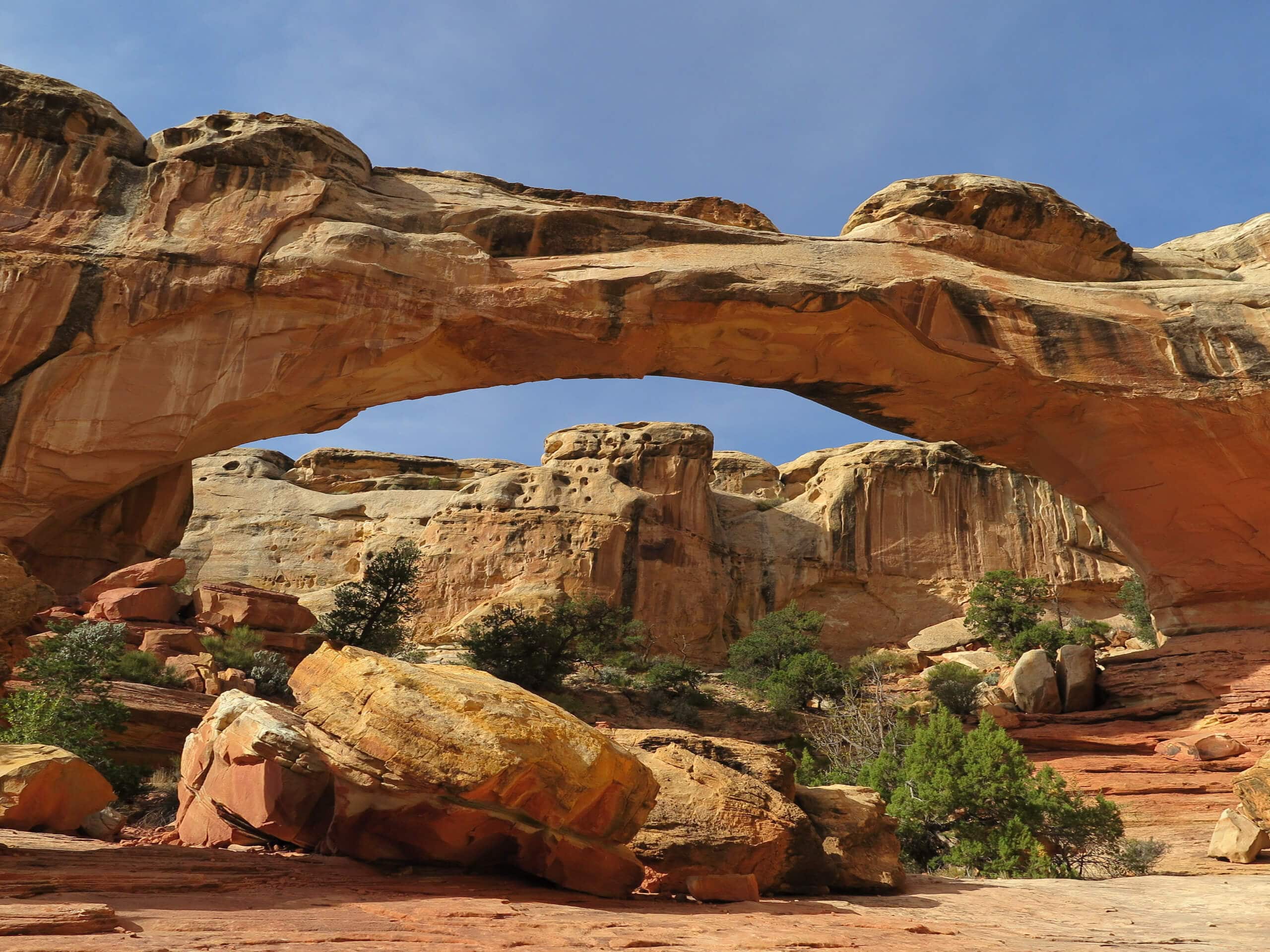 Hickman Bridge Trail