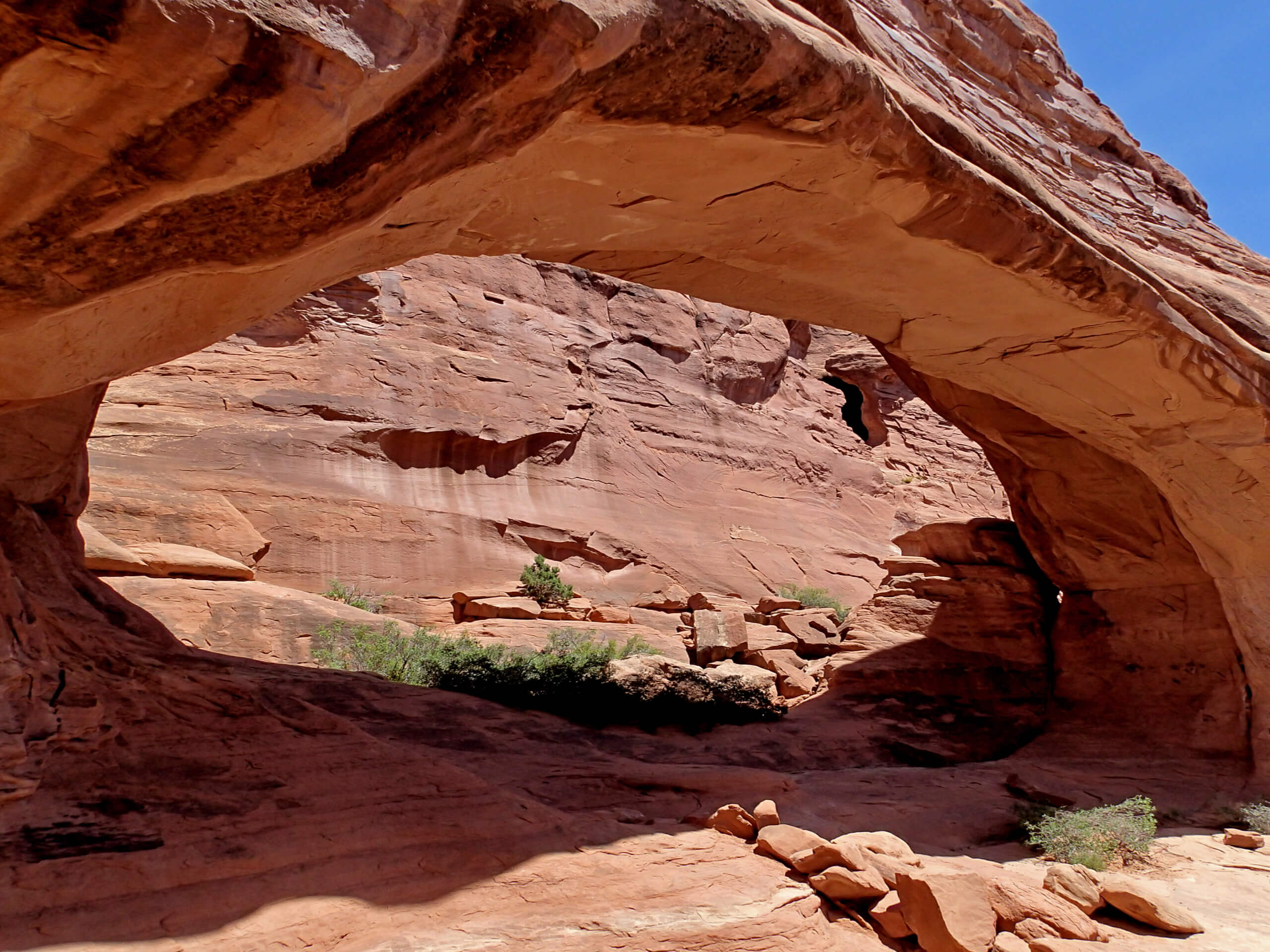 Lower Tower Arch Trail