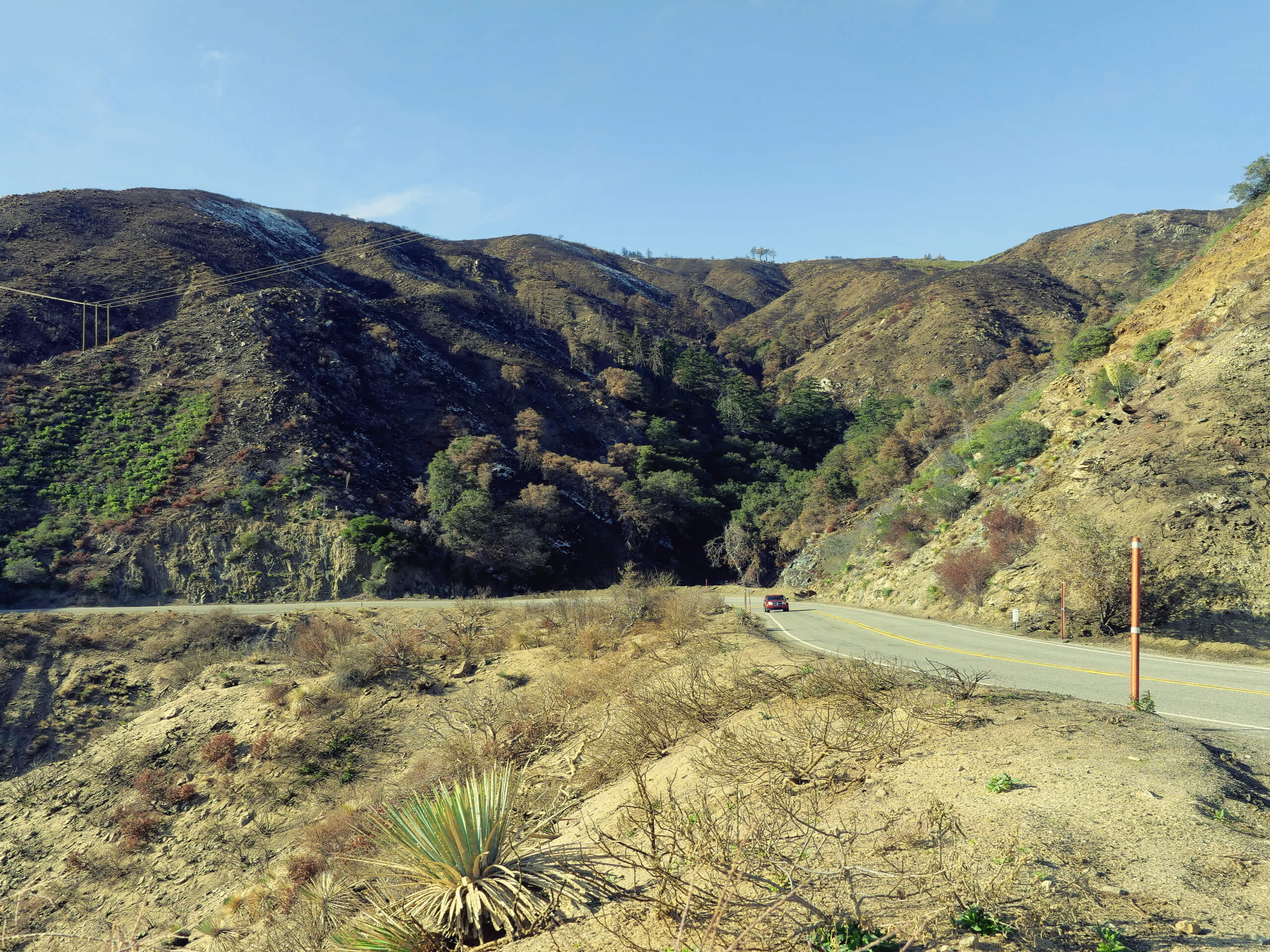 Angeles Crest Scenic Byway Hike